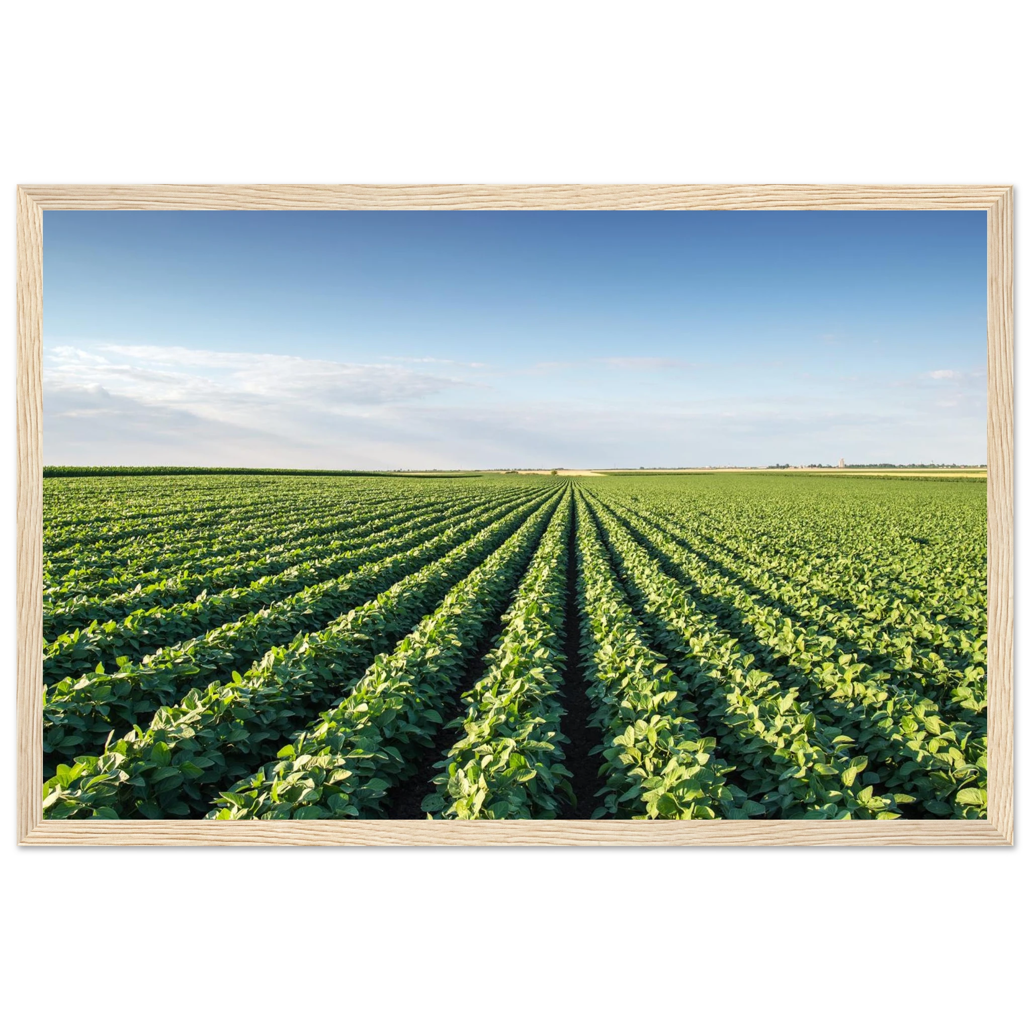 0ec30aa0-3406-428a-90dd-bac30a915244