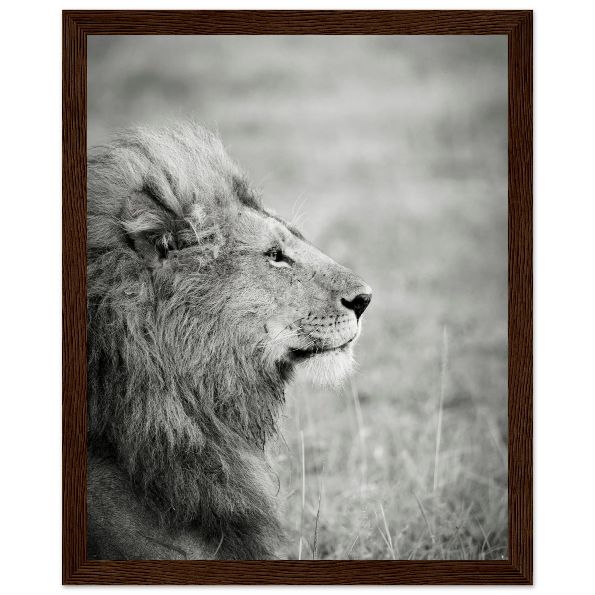 0ecbef05-1048-4535-90d1-8dba538a6449