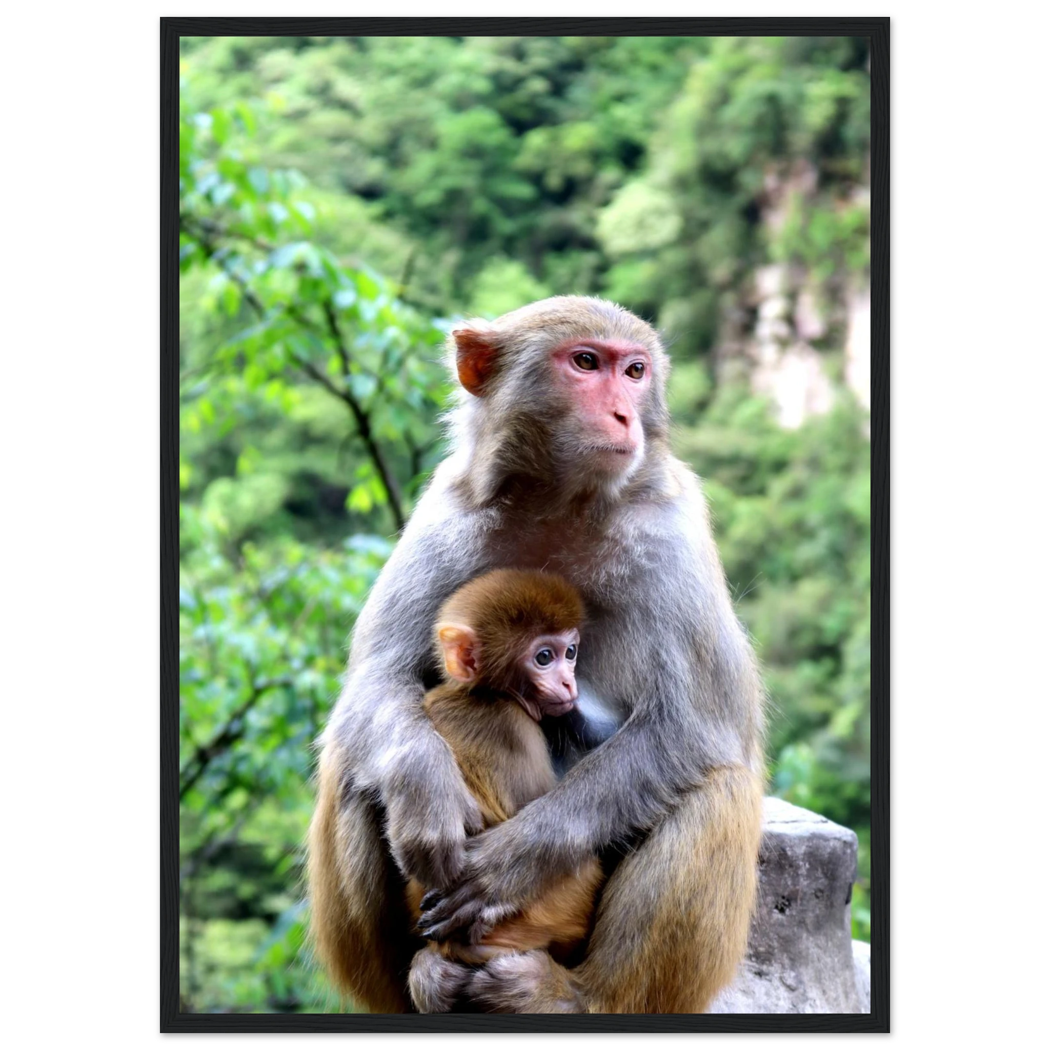 0ee9c7b6-3547-439d-be6e-41d7eb9919e6