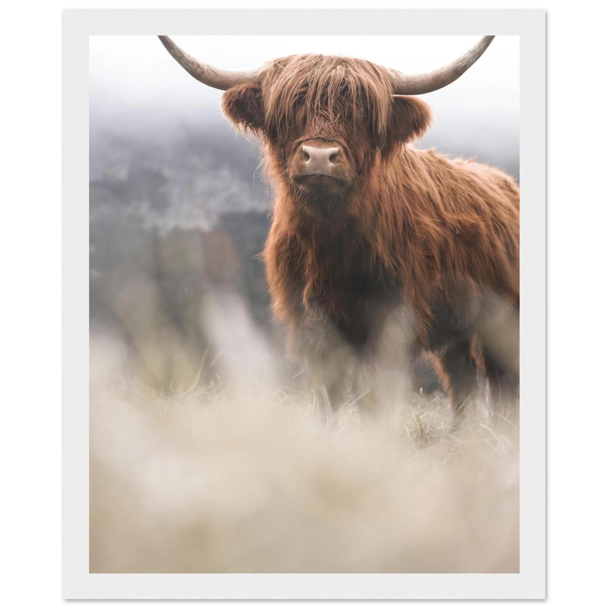 0eea7482-6f50-4066-a8e8-470939ab7fd0