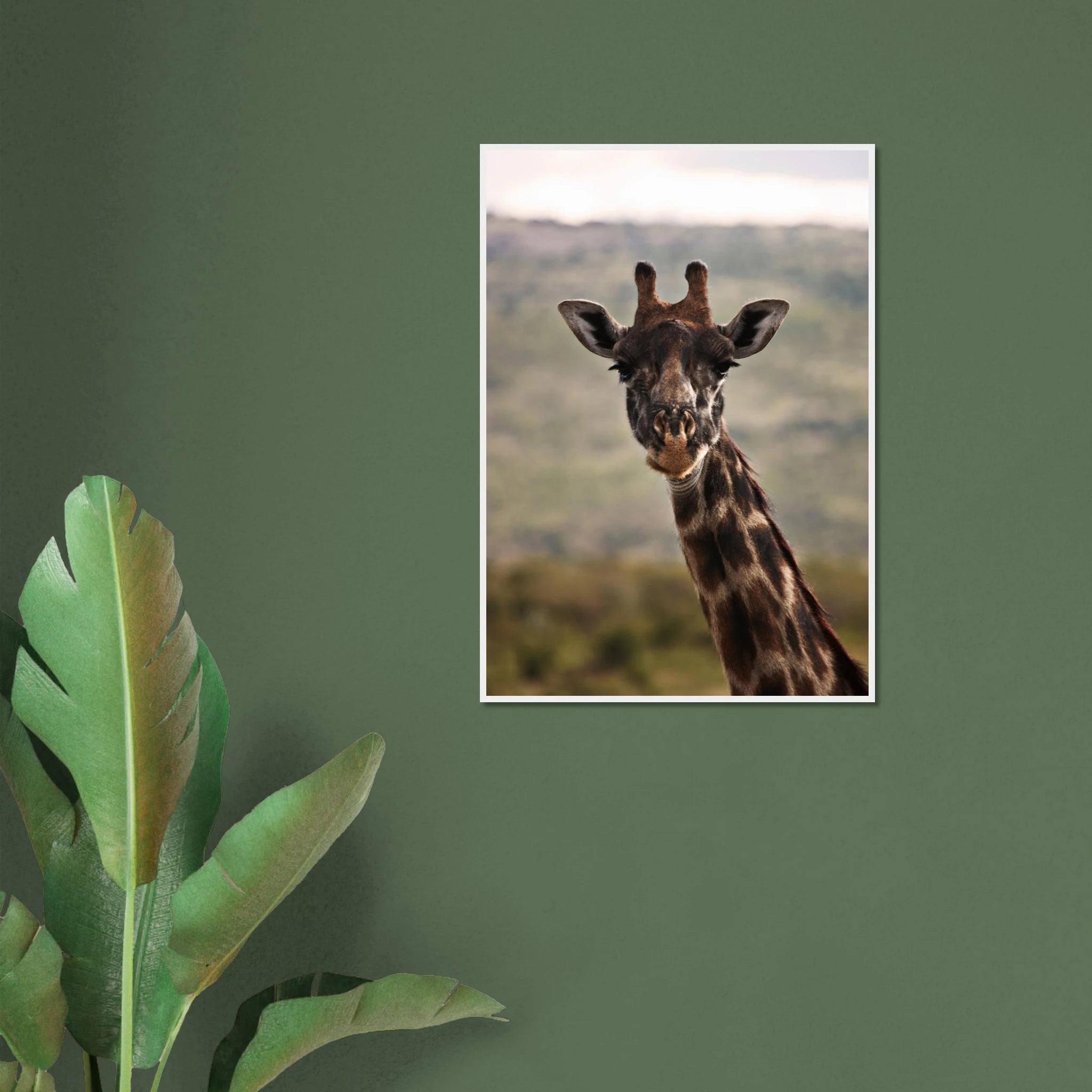 0ef0a750-9e50-4688-b574-2e524bff0202