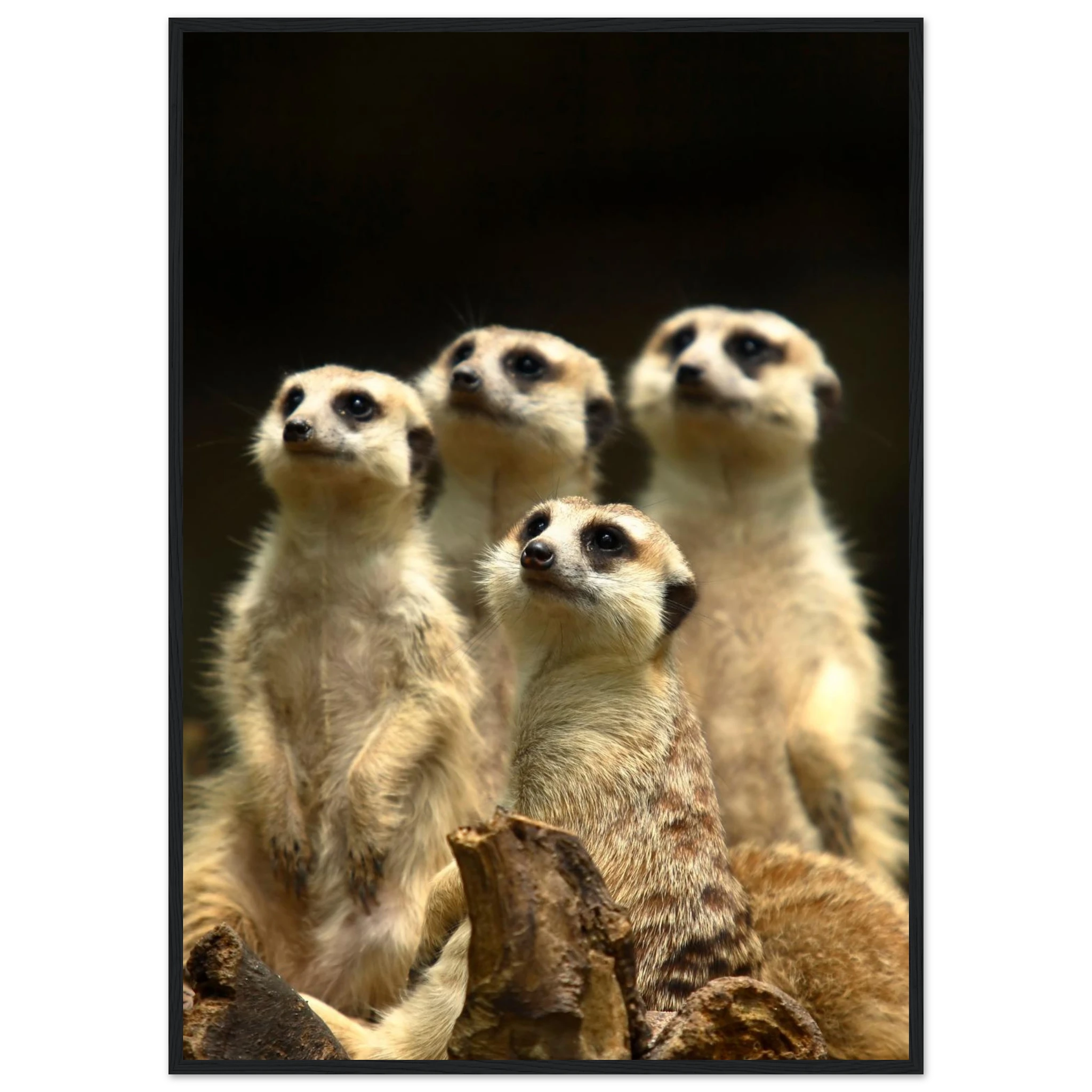 0efcace1-67a6-472a-a135-1dbe98785825