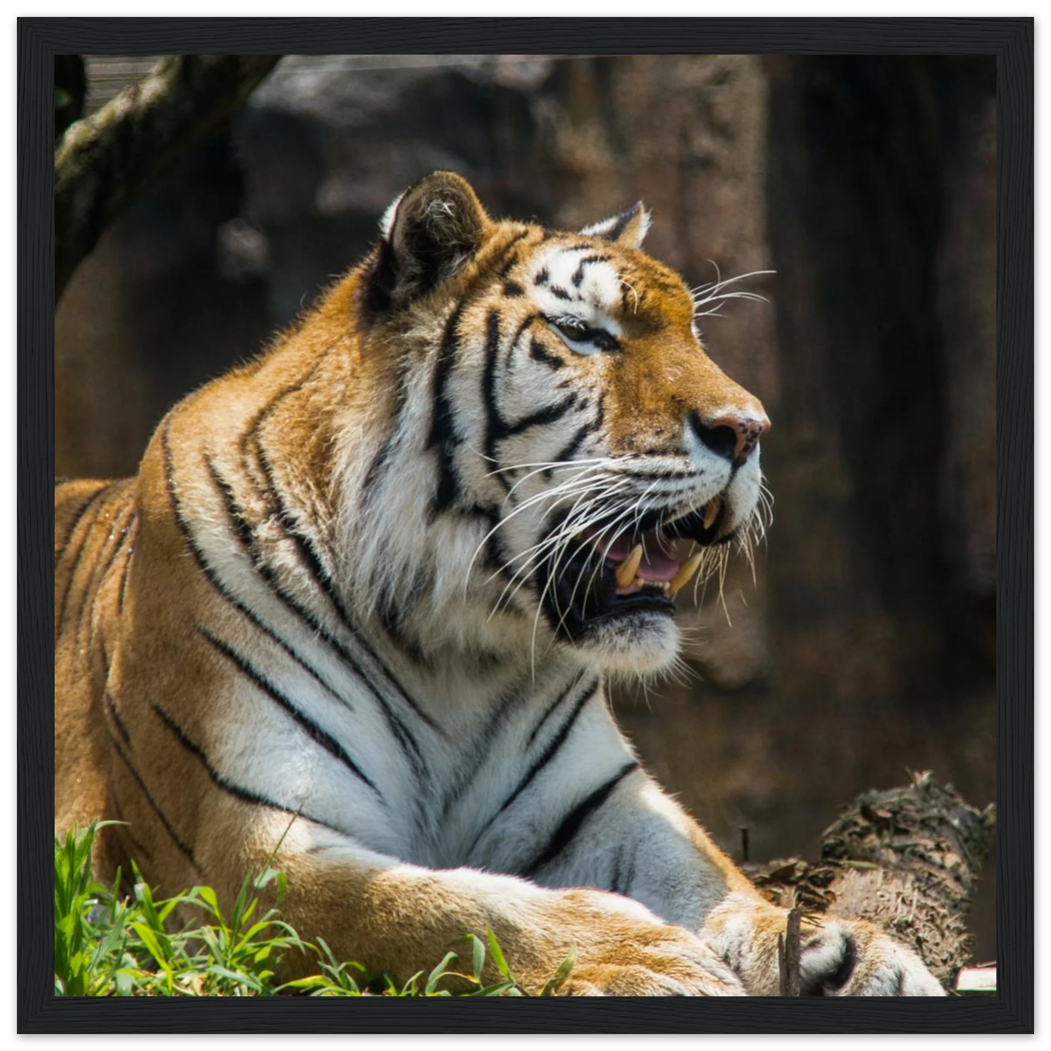 0f1e7651-b9e5-4fe3-9a4e-779b13cd8015