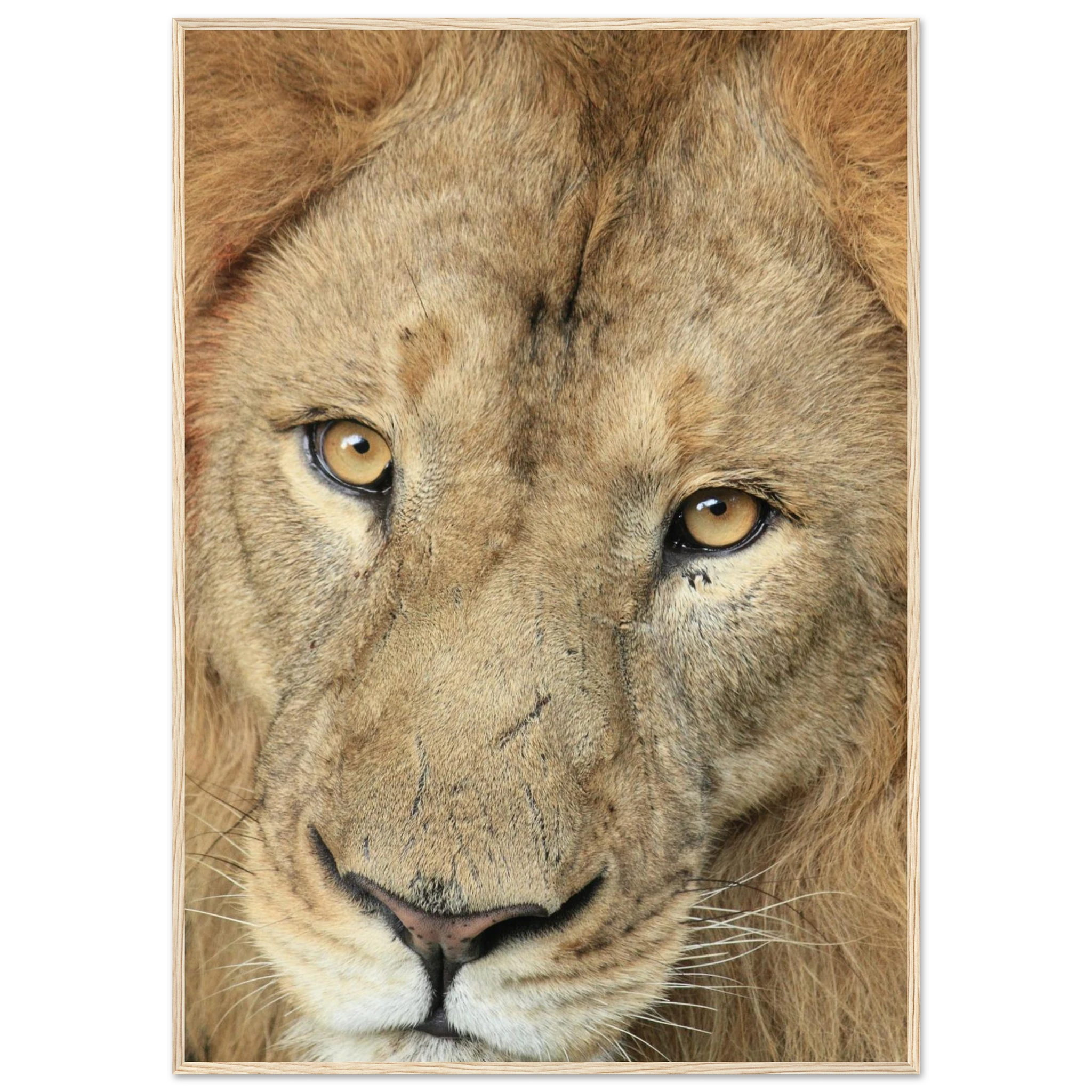 0f2df1cc-dd6e-4b6e-afb8-faa9cfe26307