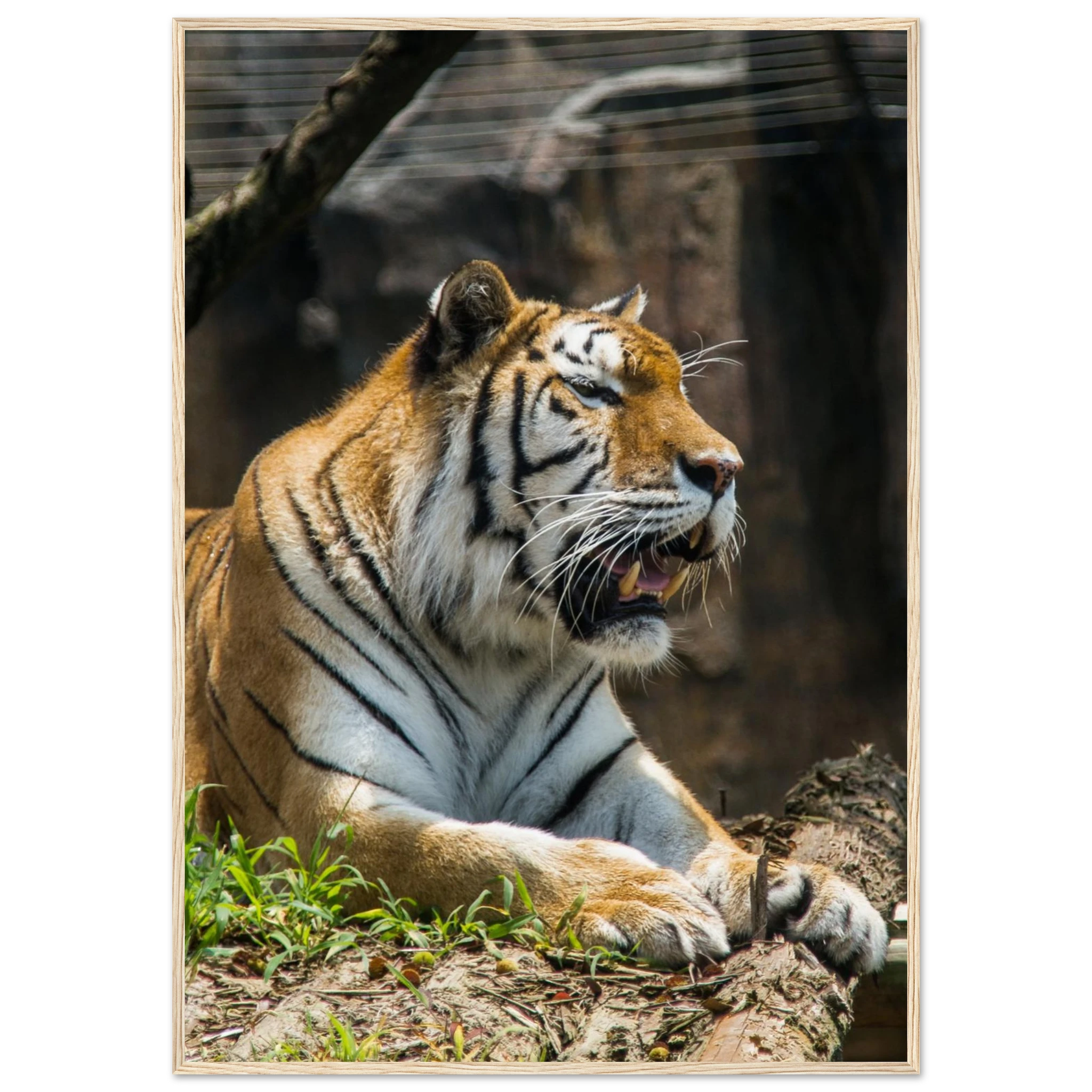 0f3f6811-c055-47c5-bede-9fe559e23d59