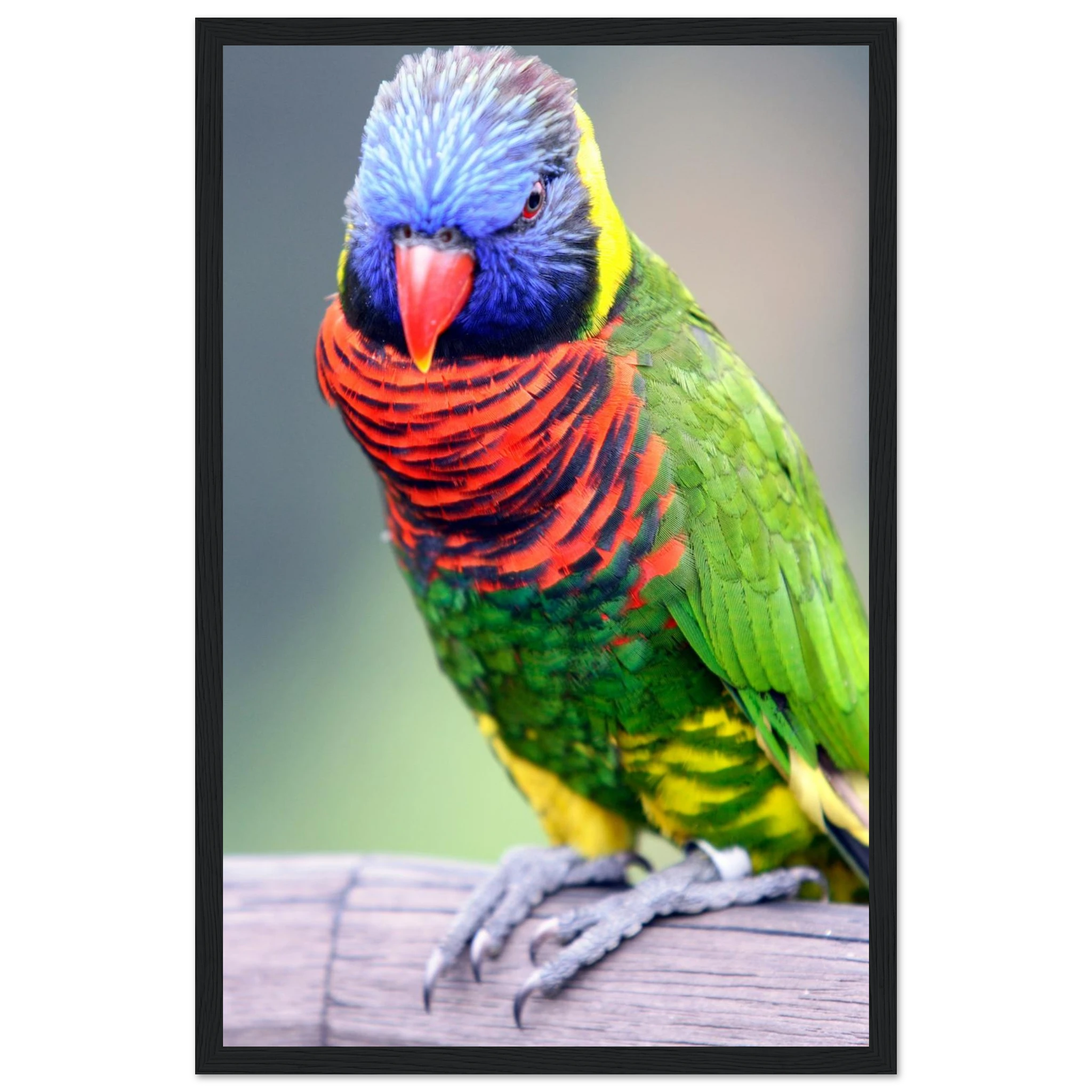 0f7a6779-b172-4f59-b6fe-7928ddee1383