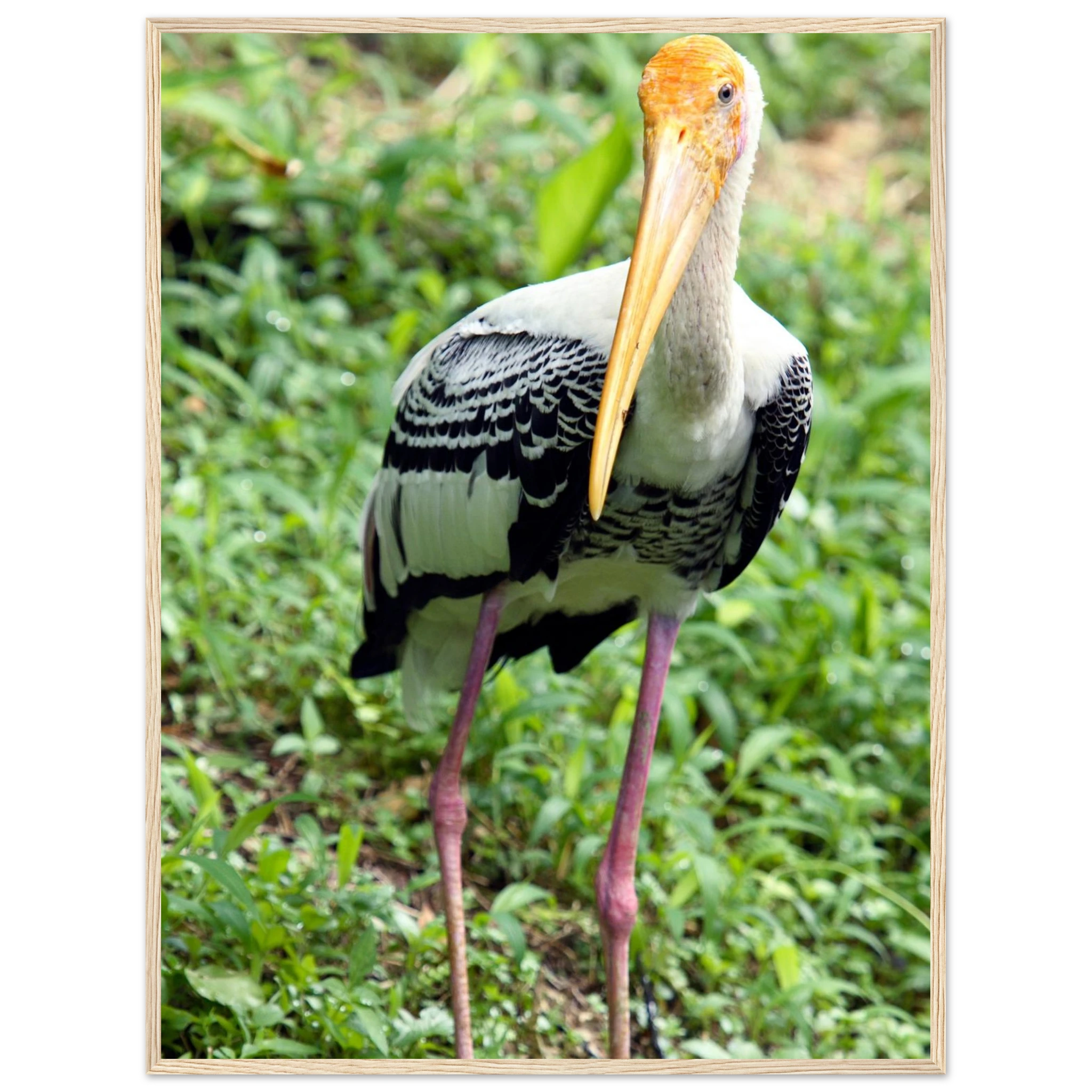 0f927b6c-8aa0-4450-8e3e-b2ffc1674359