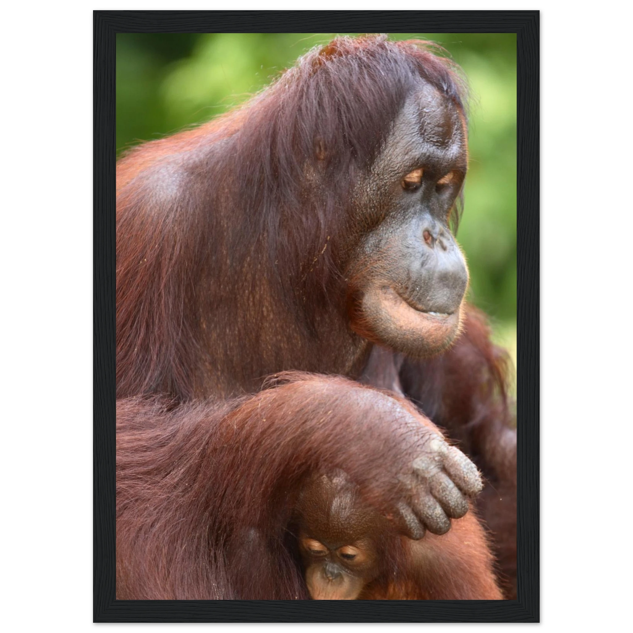 0fa2a92d-6835-45bd-b628-b935c077d6b1