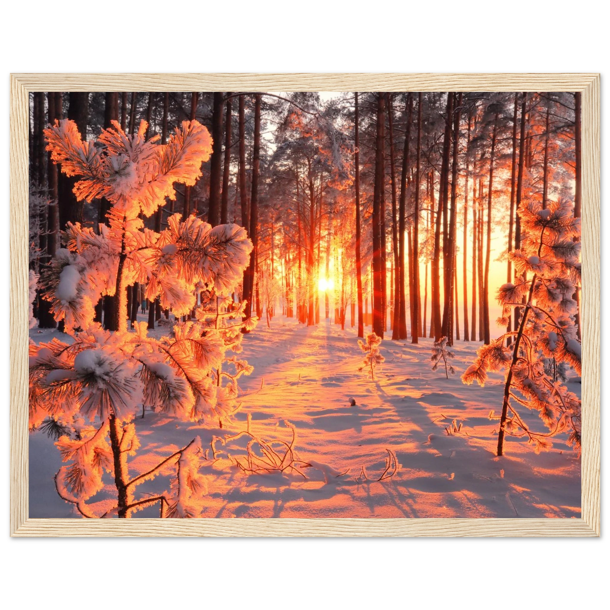 0fc3e5a2-f691-4e73-a580-09551360f898