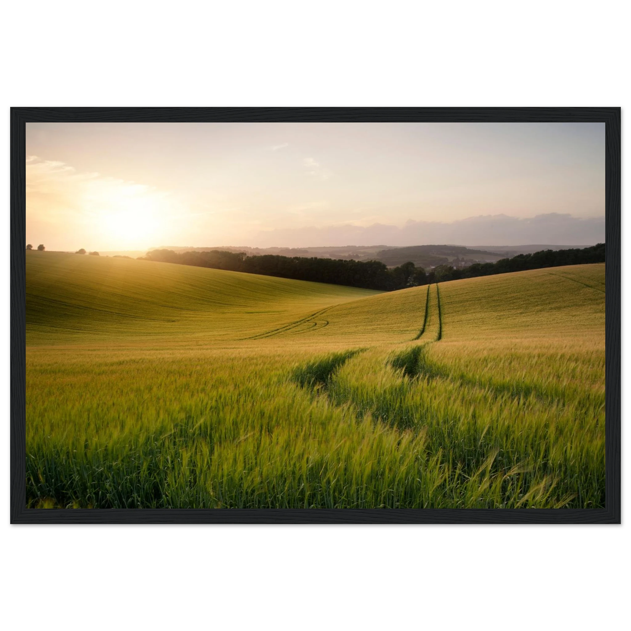 0fc93de6-5203-4c88-87a9-c65cf44b7033