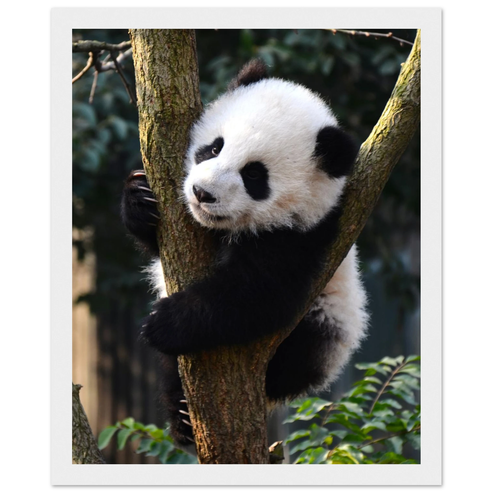 0fdfdd88-c466-4034-ba63-33fba986ccea