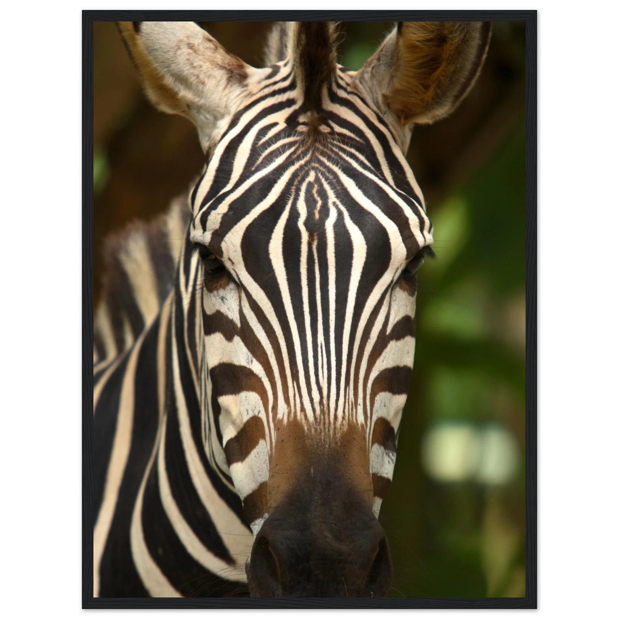 1014d53b-bcdb-4f30-971b-550e2d7d9539