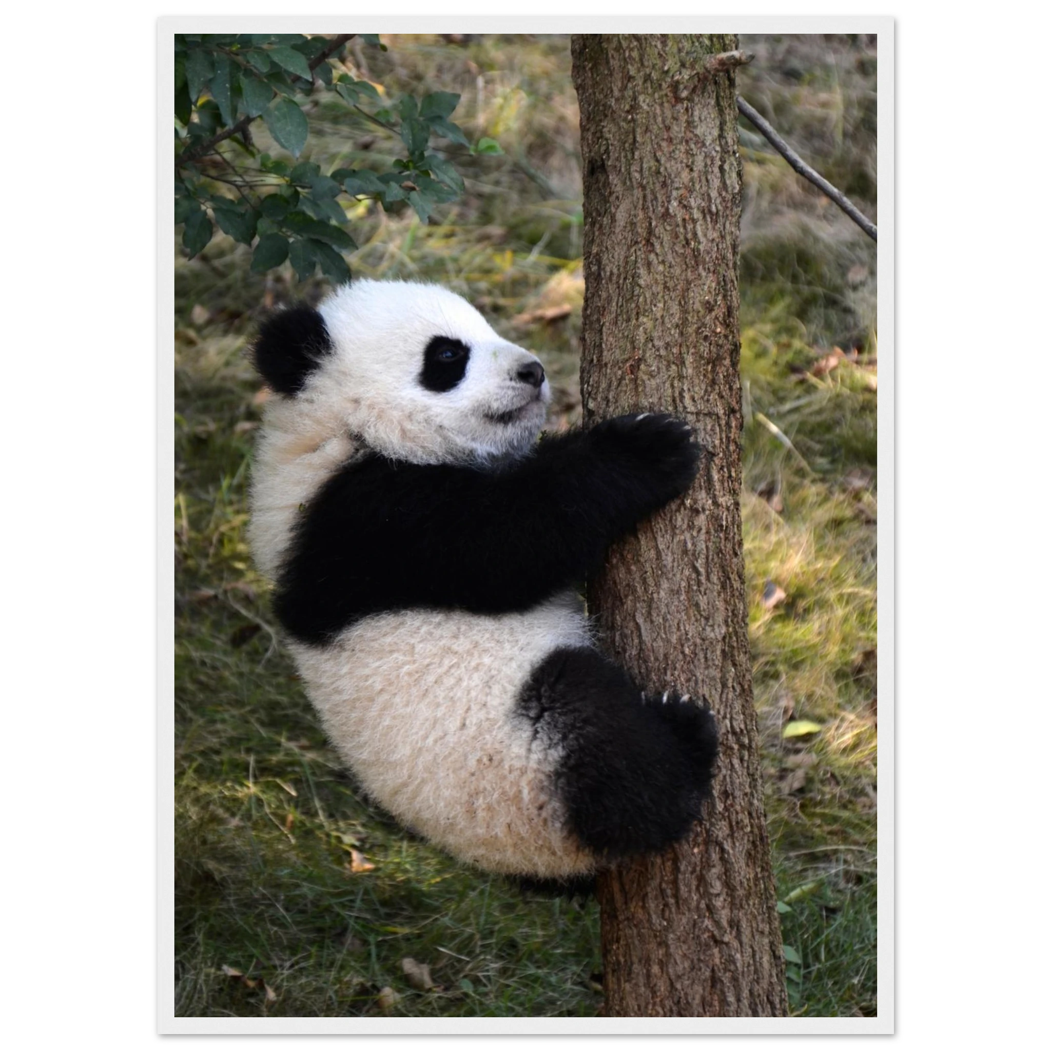 1016deb4-d276-4c84-96cb-01f7fa543166