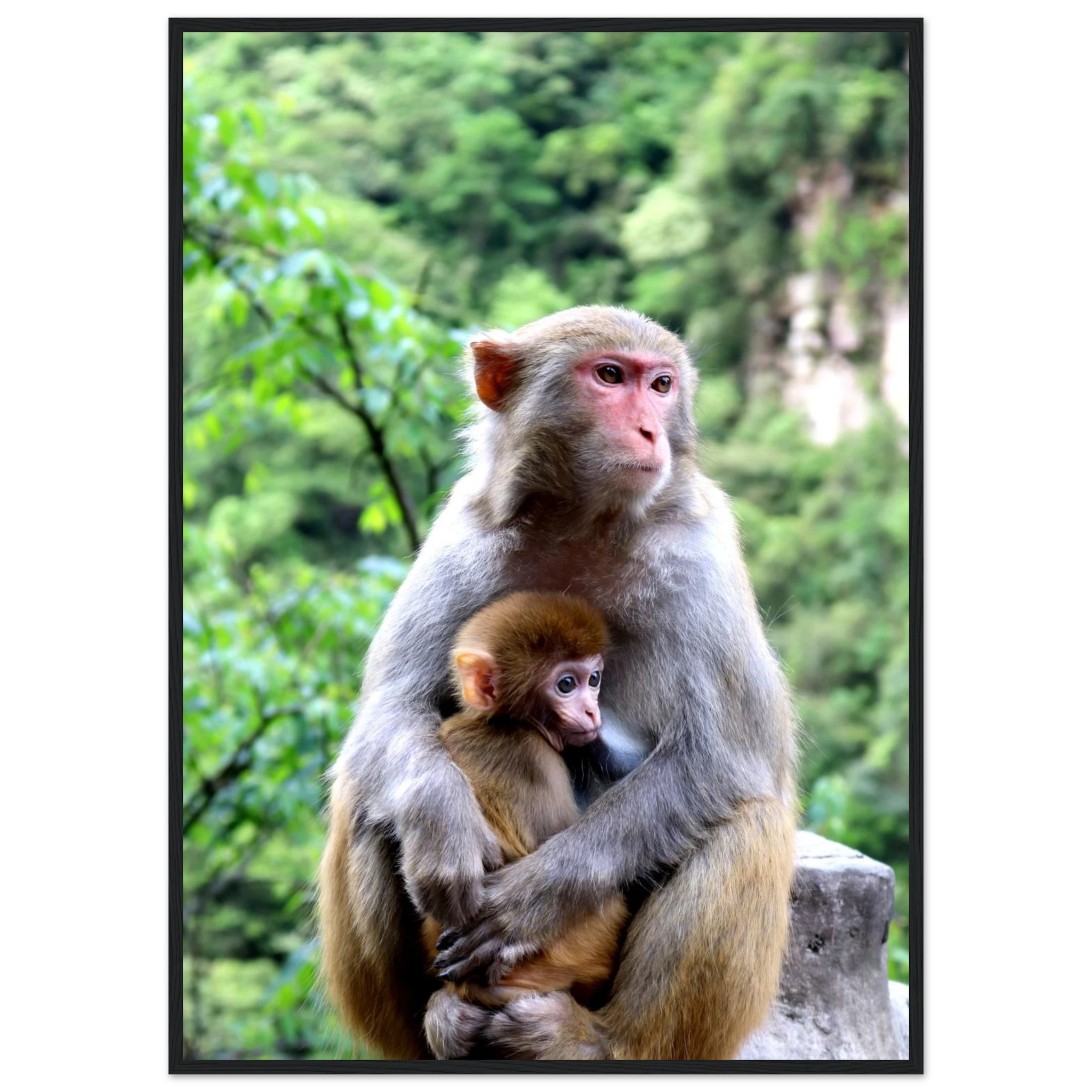 10293eb6-5e6b-4b5b-8620-818759cf2fe3