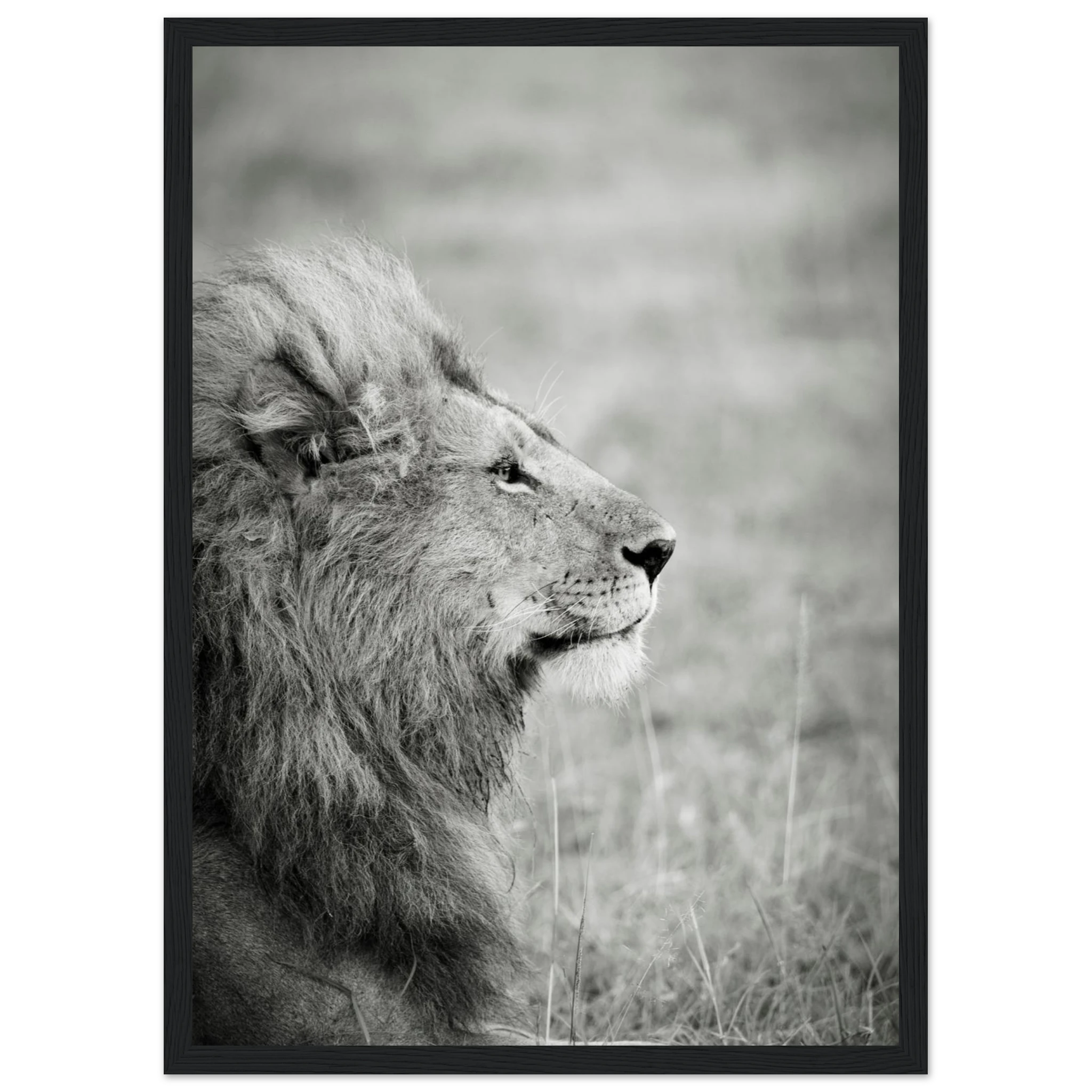 1049b67a-fd06-4552-96e6-add5f10b865e