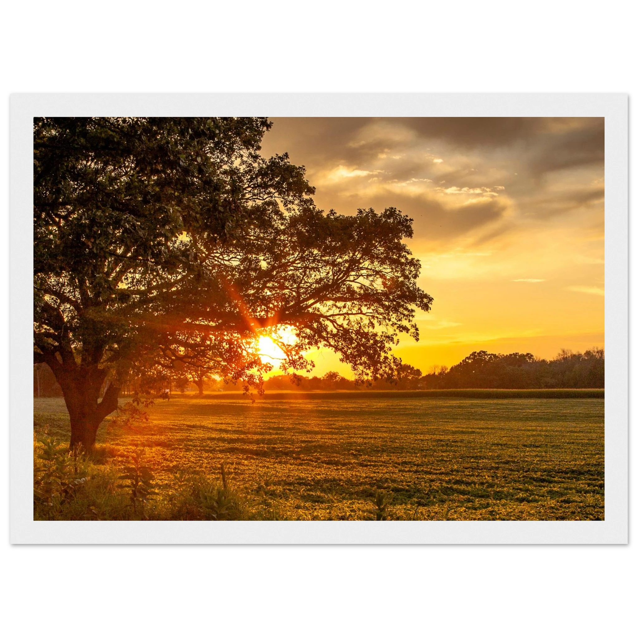 10661141-1a8b-4a15-bf8f-2d0ea43ae2d9