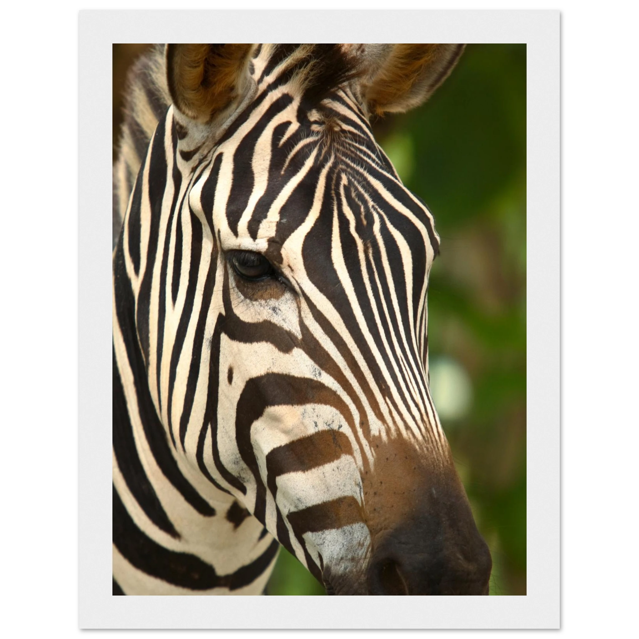 106b5fbf-972d-4c0f-9d73-99cbc914889c