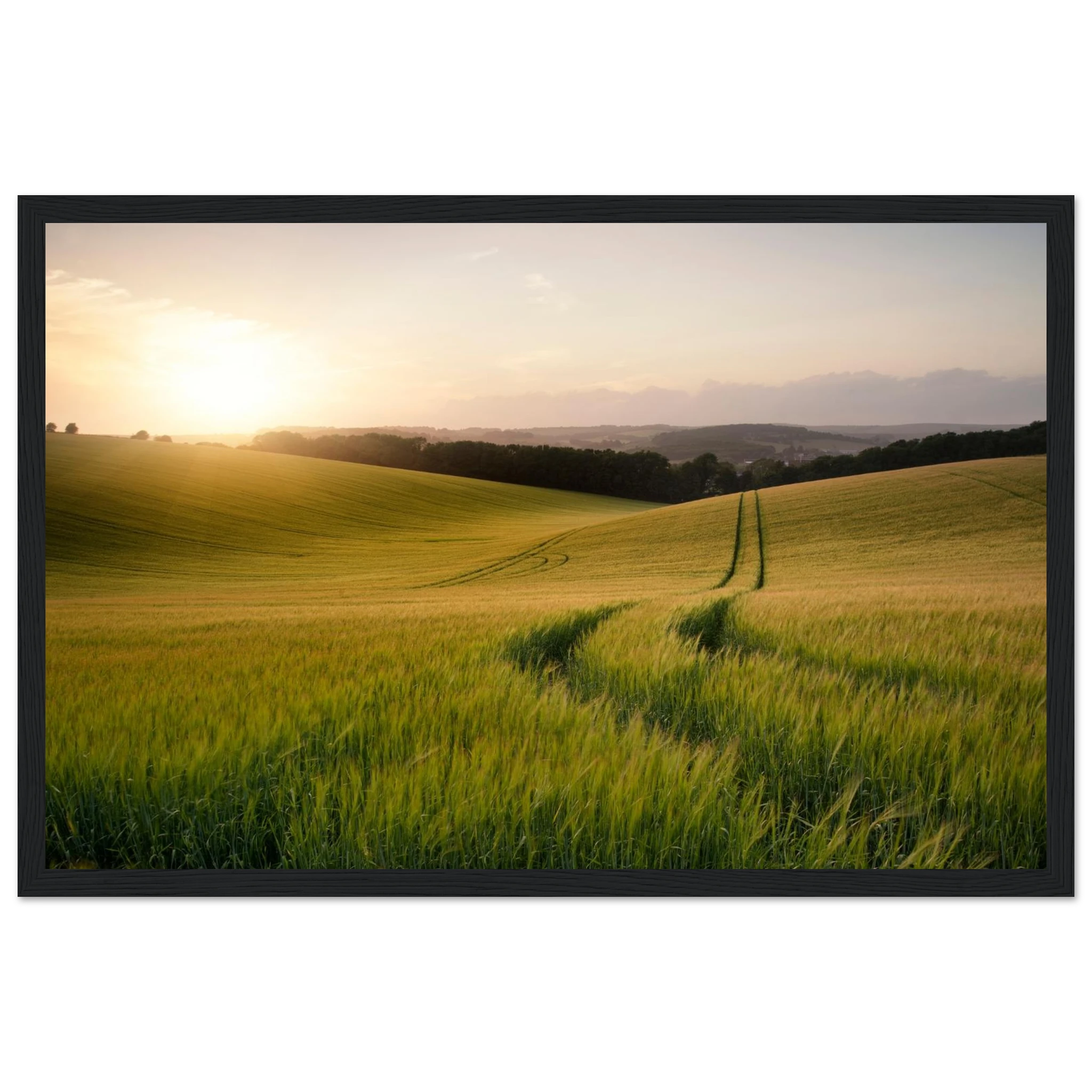 108cc79b-3b16-4393-adb3-45725f52cf9d