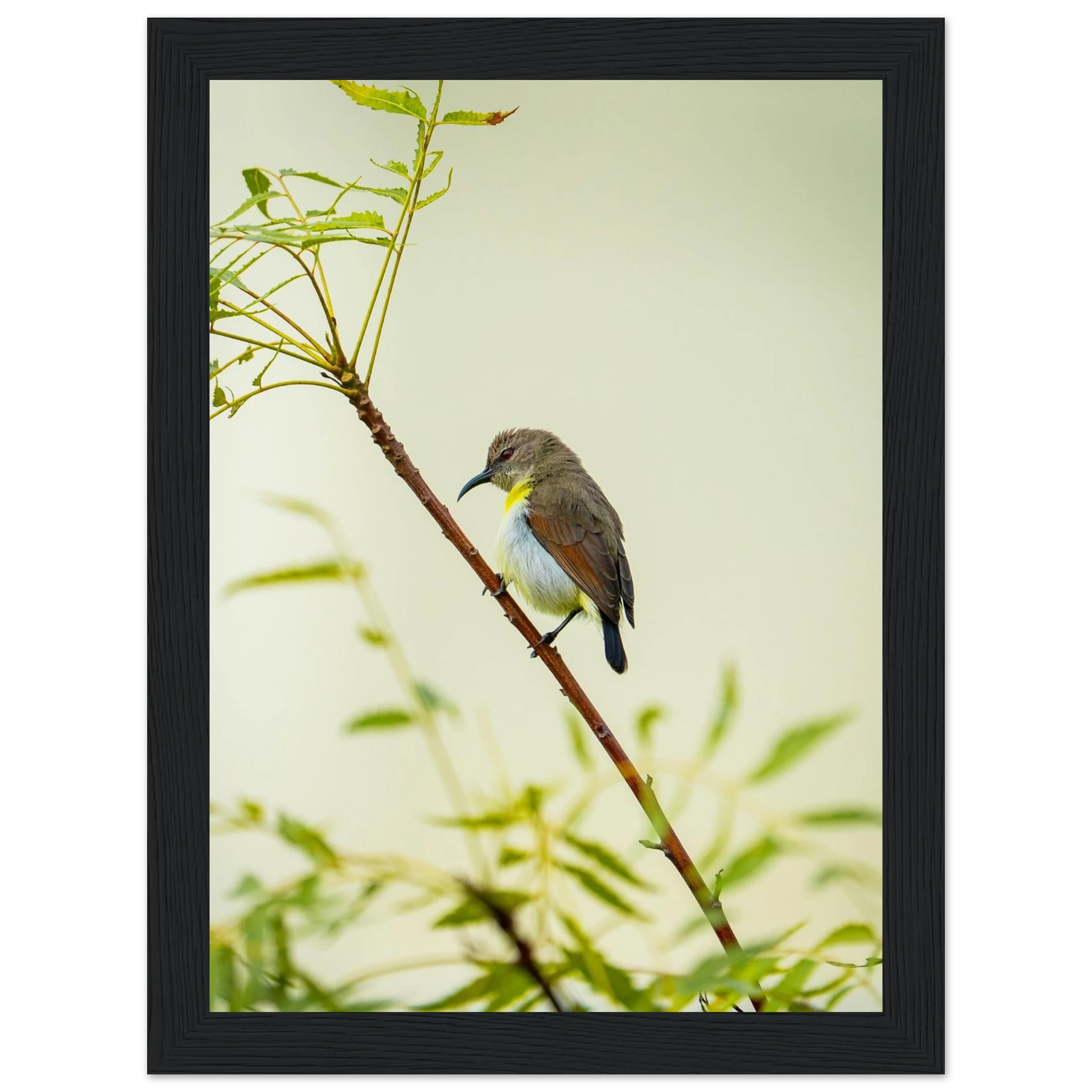 108f0591-f8e2-48ed-908f-3e1f0b3884ca