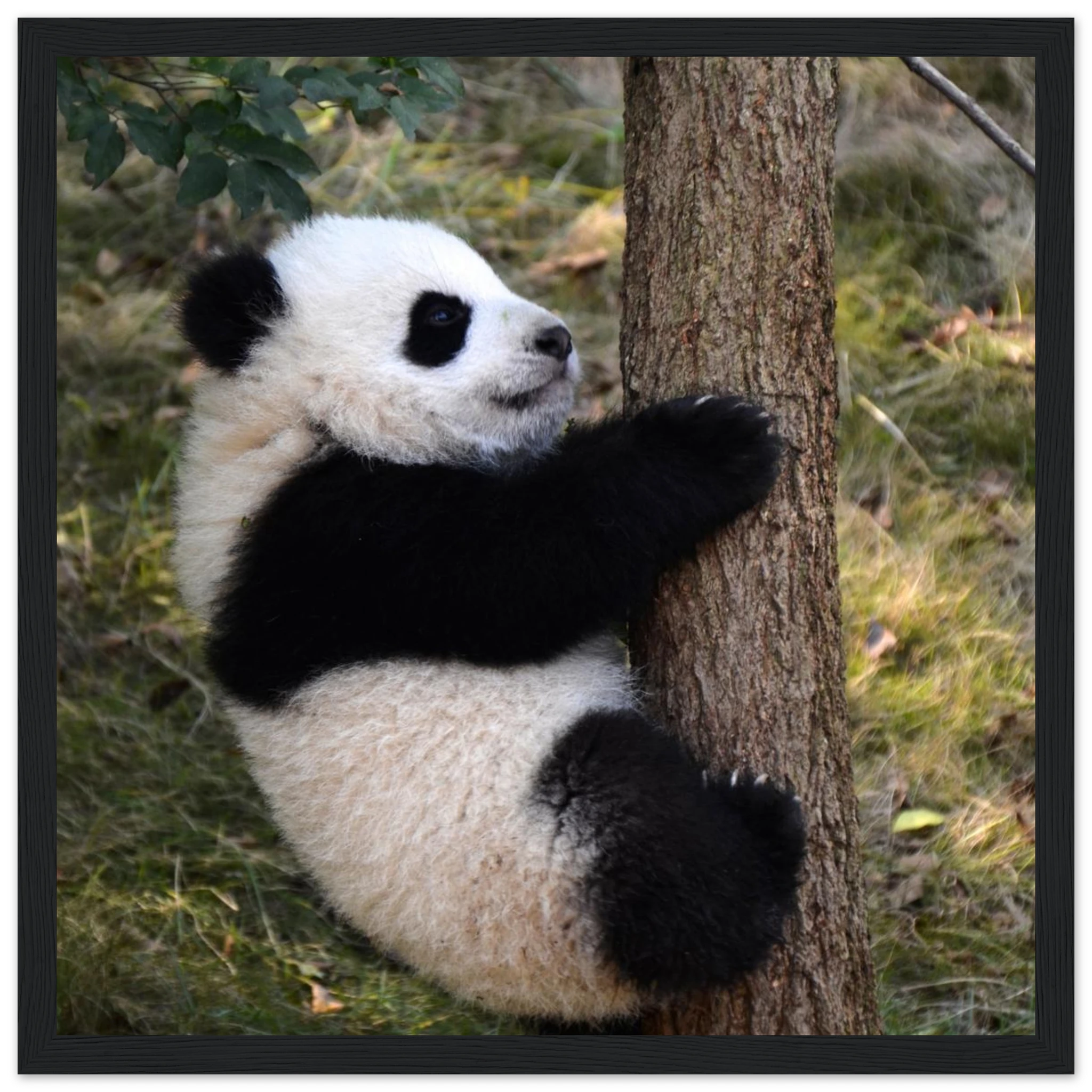 10974927-6611-490f-986e-430af4a0aa4a