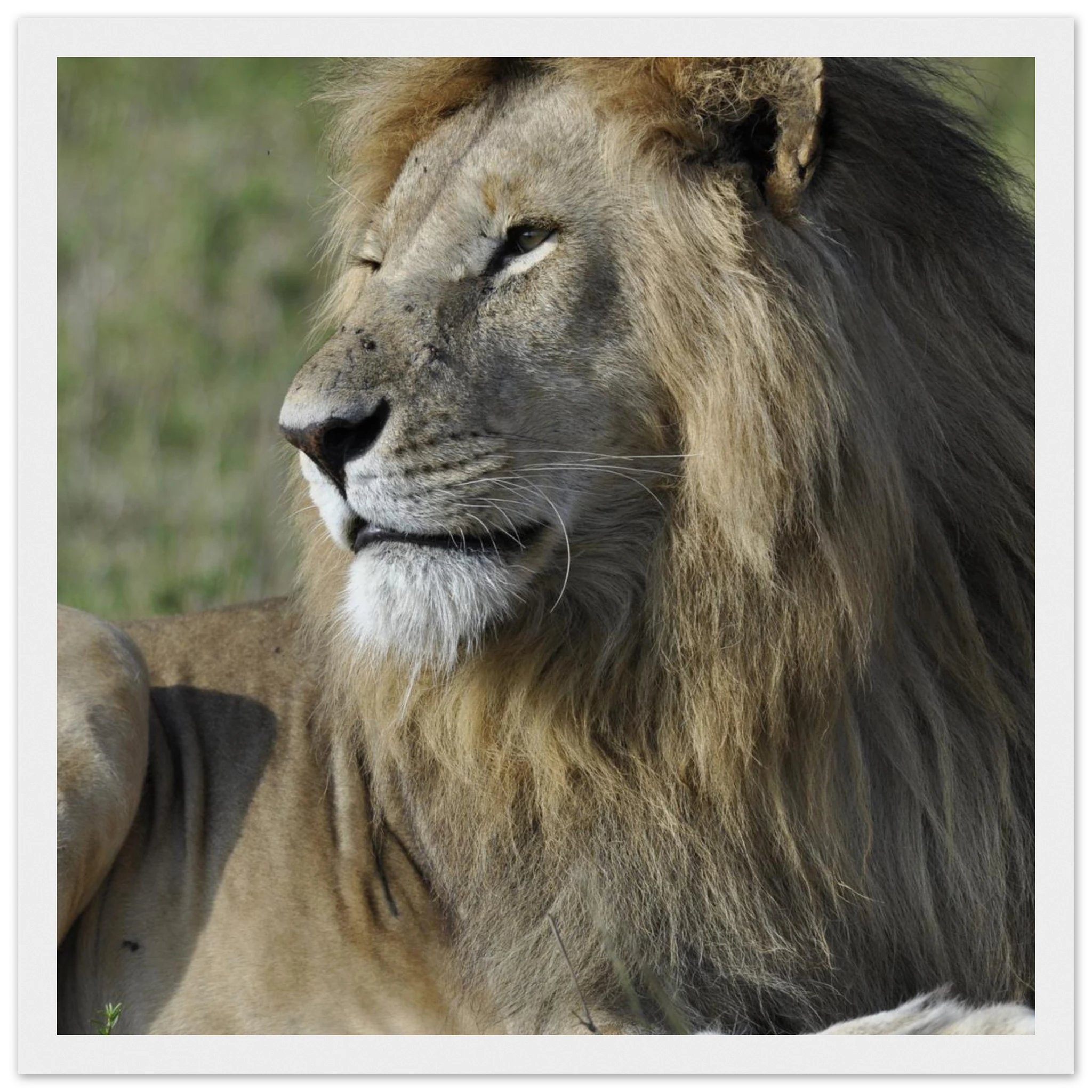 109cfae9-d956-40d8-9c96-a8fff1f522d6