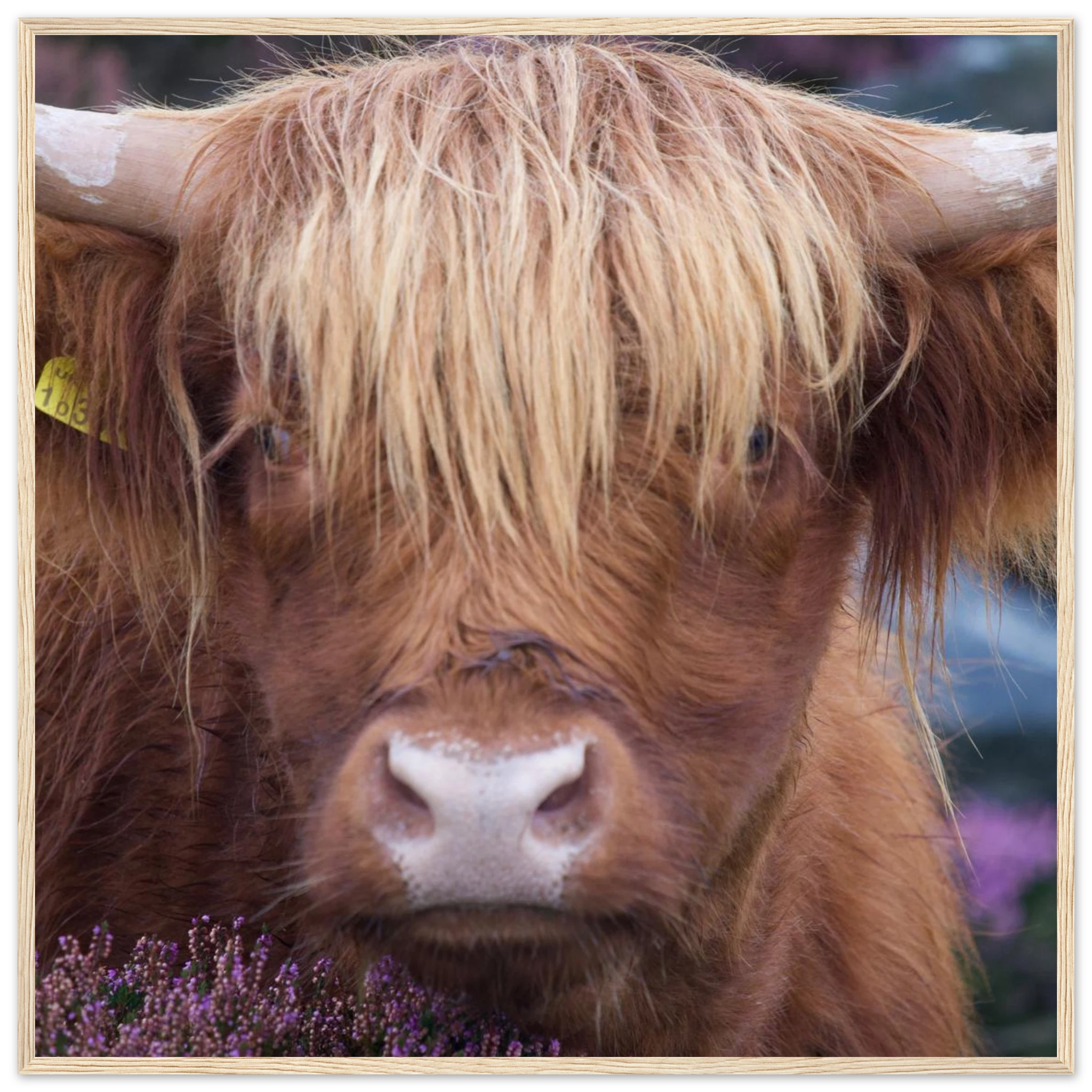 10c19128-6e1a-4065-9093-1b730b9bc3c9