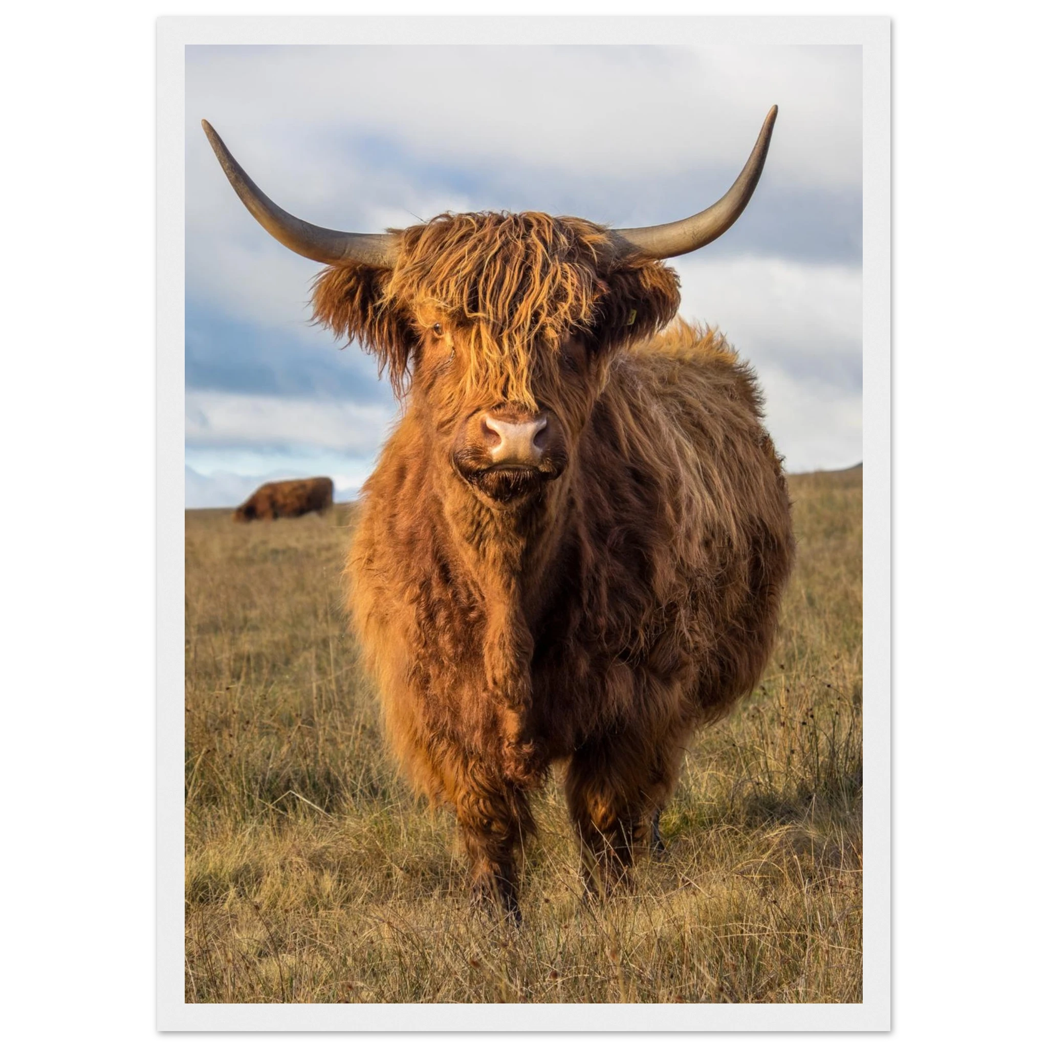 10c94e0a-0146-48ab-a5eb-328f9b855adc