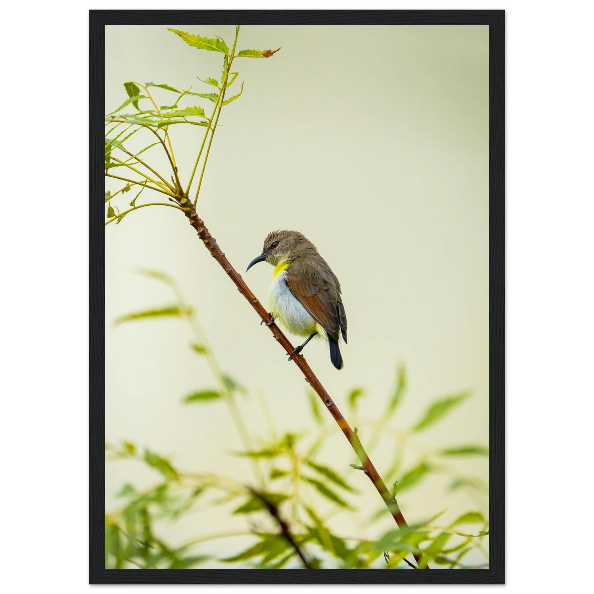 10d9091d-8876-4411-8ce5-fc6ada8256c1