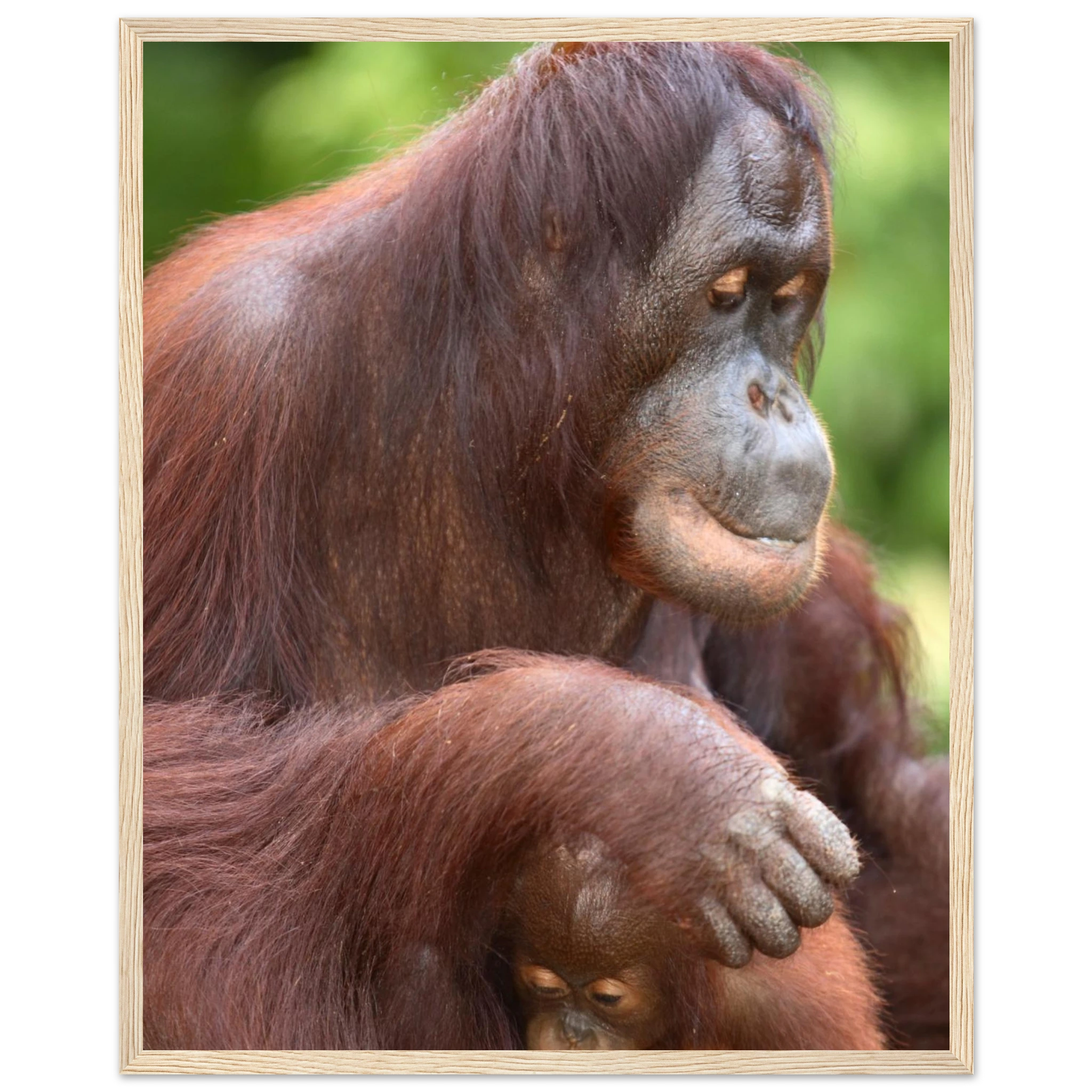 10e62335-ad89-4836-a874-26cce2a39cc8