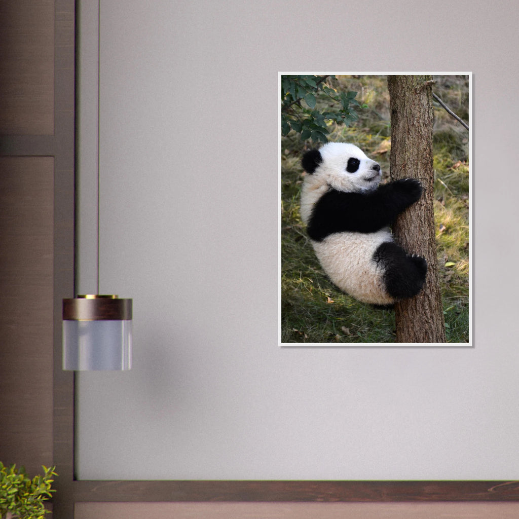 10fe7ae2-cef8-4aba-b8c9-797557438b1b