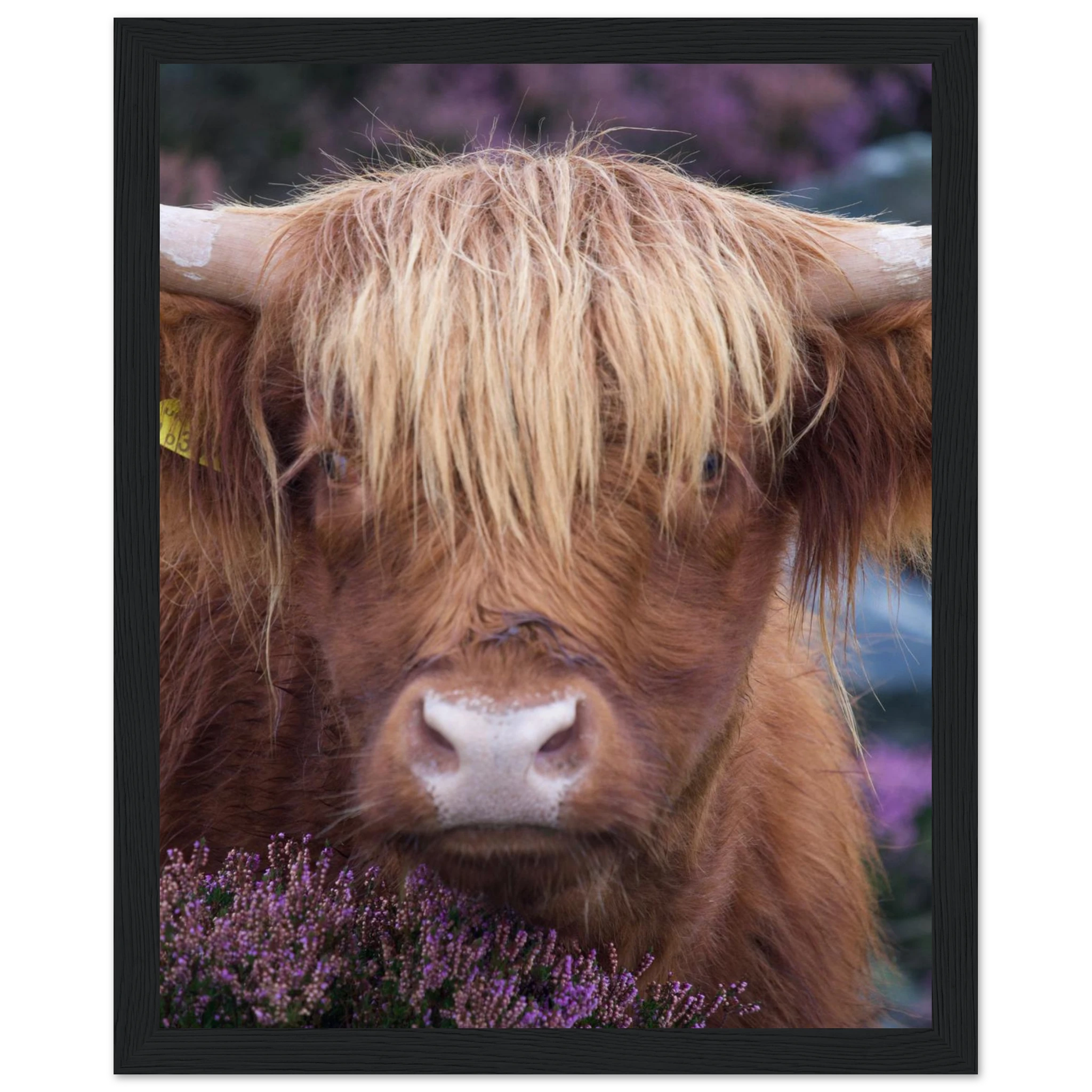 110239f5-f6ac-45aa-acd2-1ccab8cfe3f9