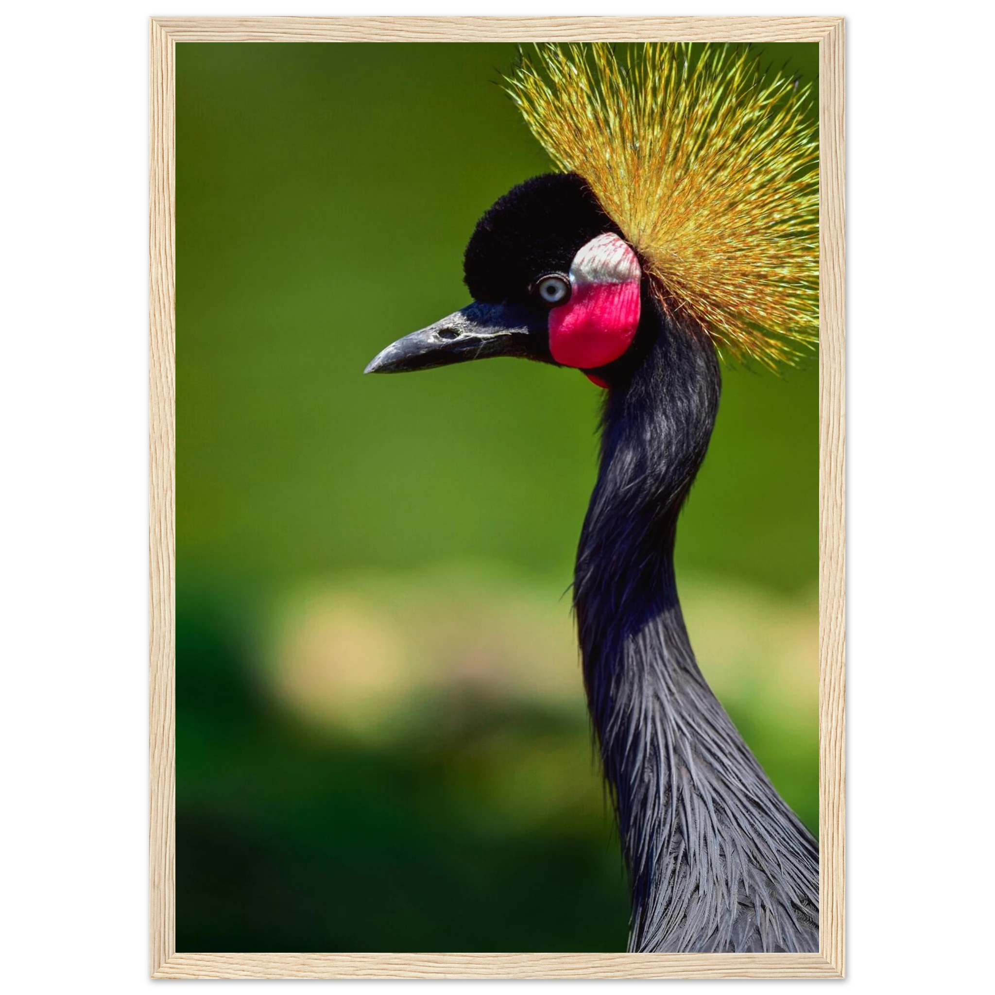 11150d8f-b263-4135-beac-b9534b0a4967