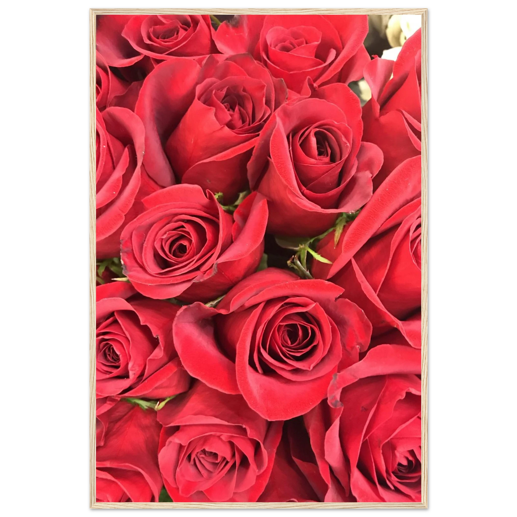 11210556-e38f-4adc-ab4b-464a1d29698c