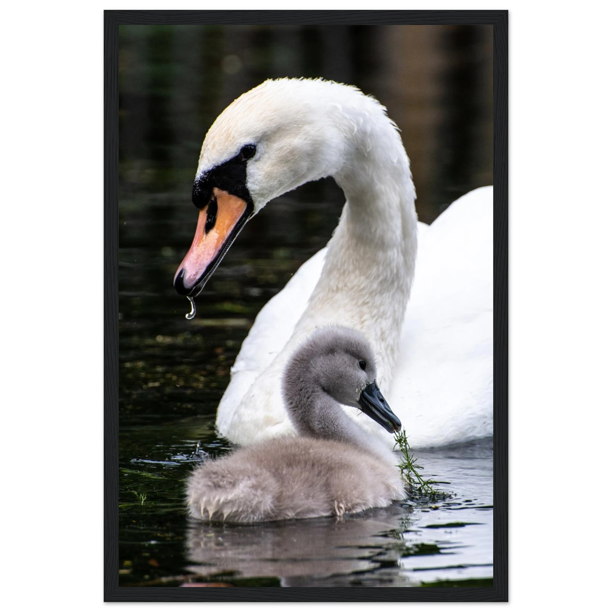 1122e63a-74a8-48c5-a101-071b54ffb067