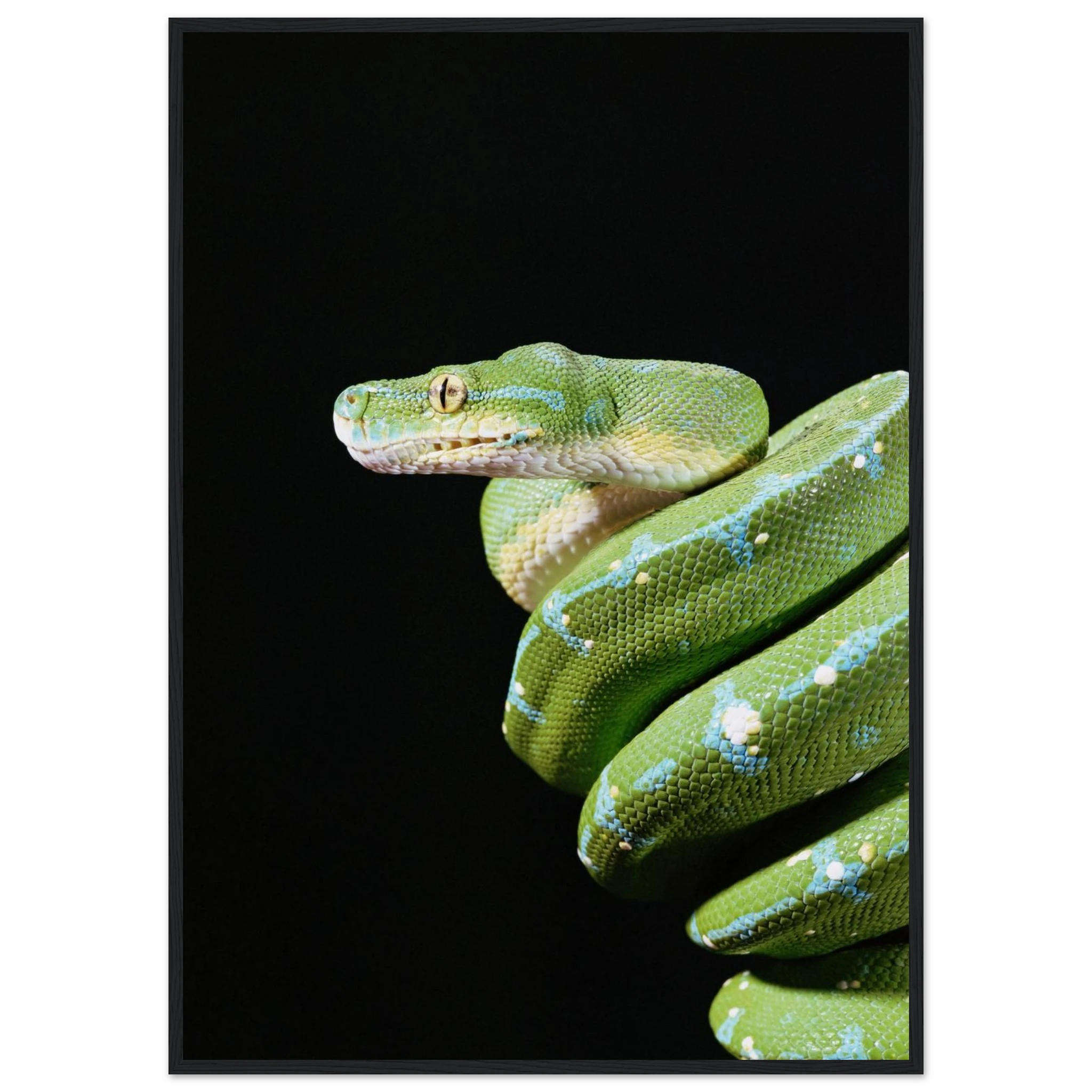 1144344f-82ce-4ae3-8237-f551b1f4994b