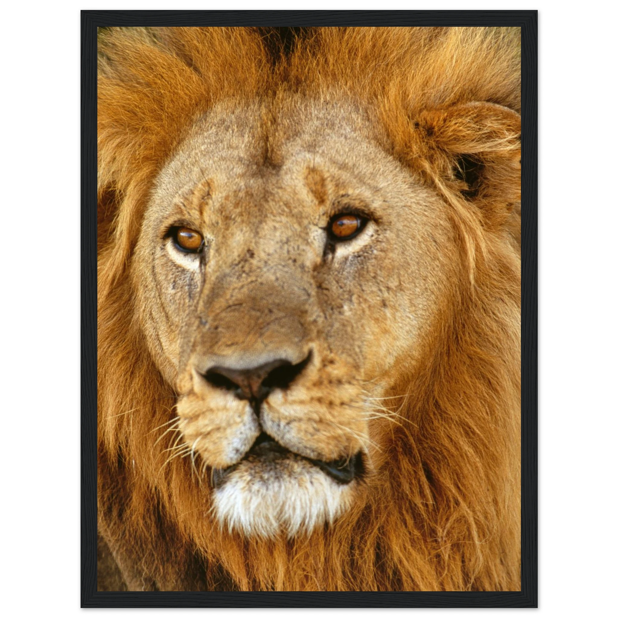 1144ede6-6813-47d4-8146-d116174f13c1