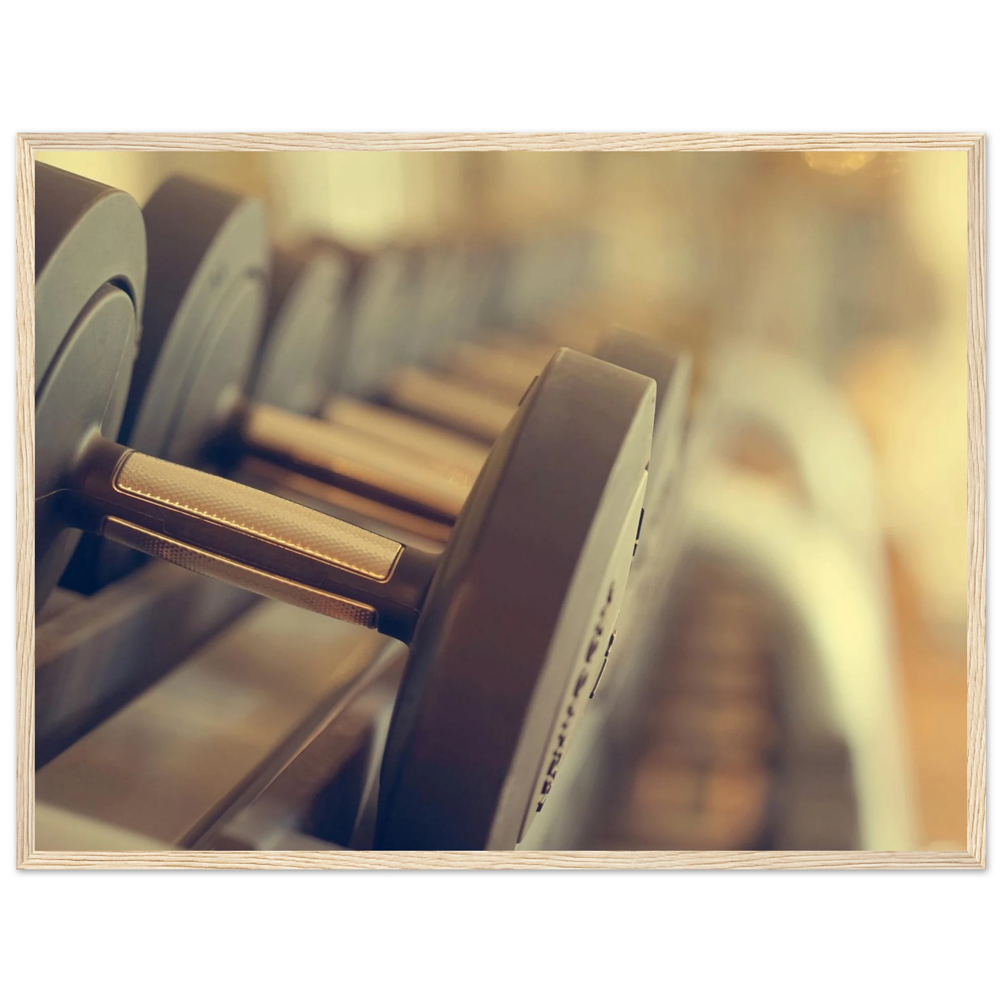 11461a38-a78a-4429-a86a-c55c40914b73