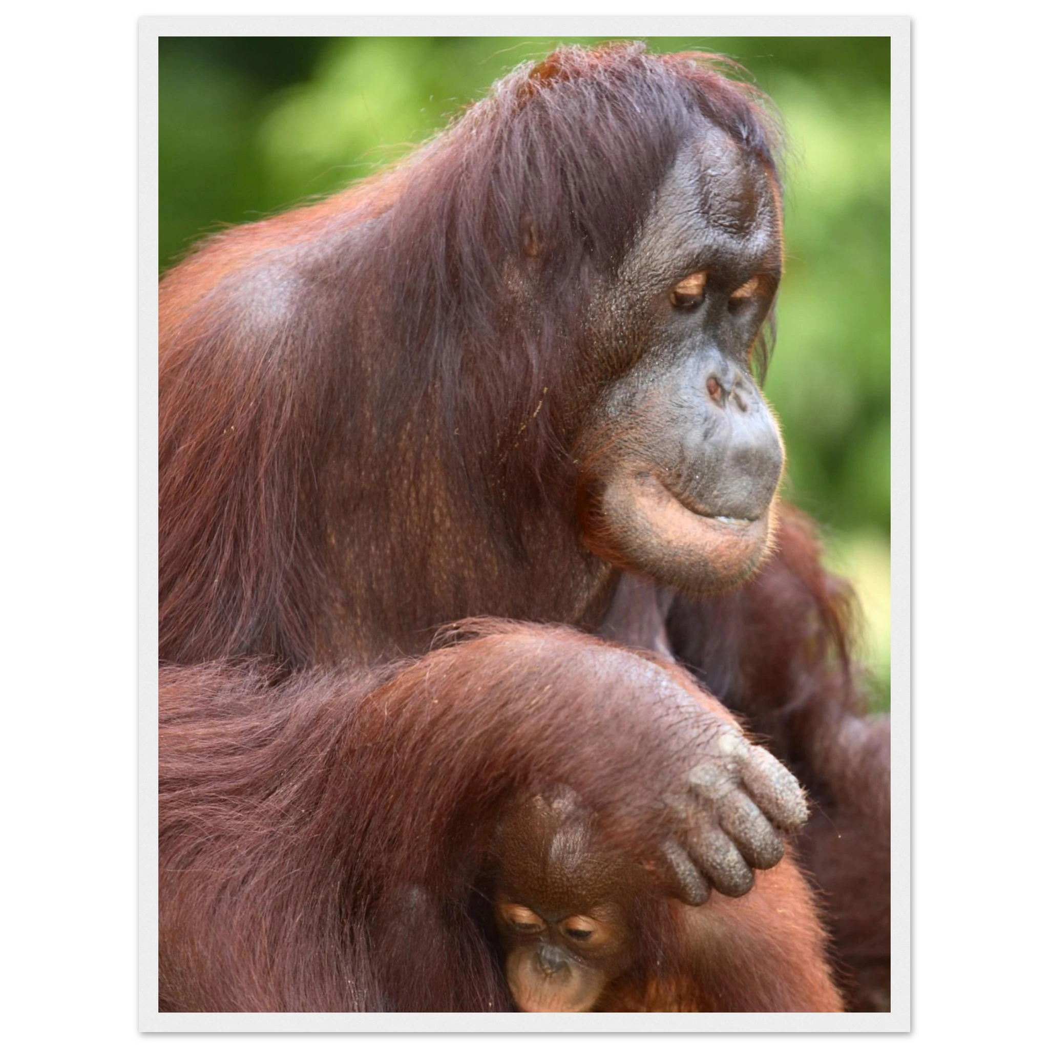 114b5f42-831c-499f-8d48-7f1ef16848cd