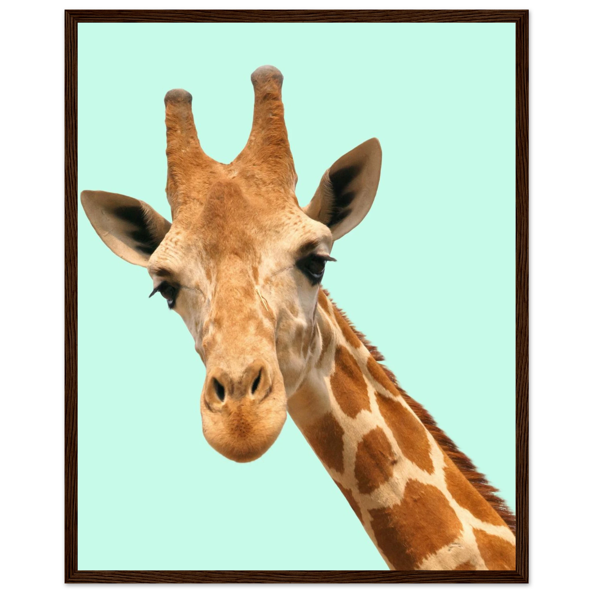 115bd8d9-1f61-4064-aac4-59a263d63703