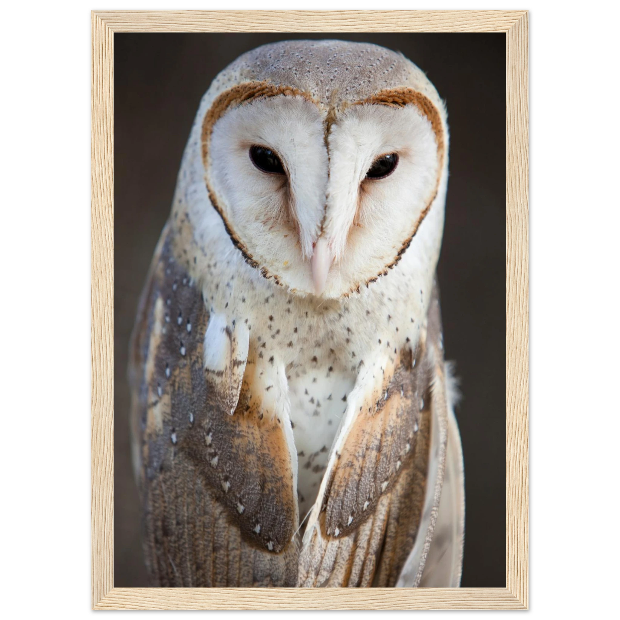 116501cc-8b1e-420c-989f-2c488e0c6074