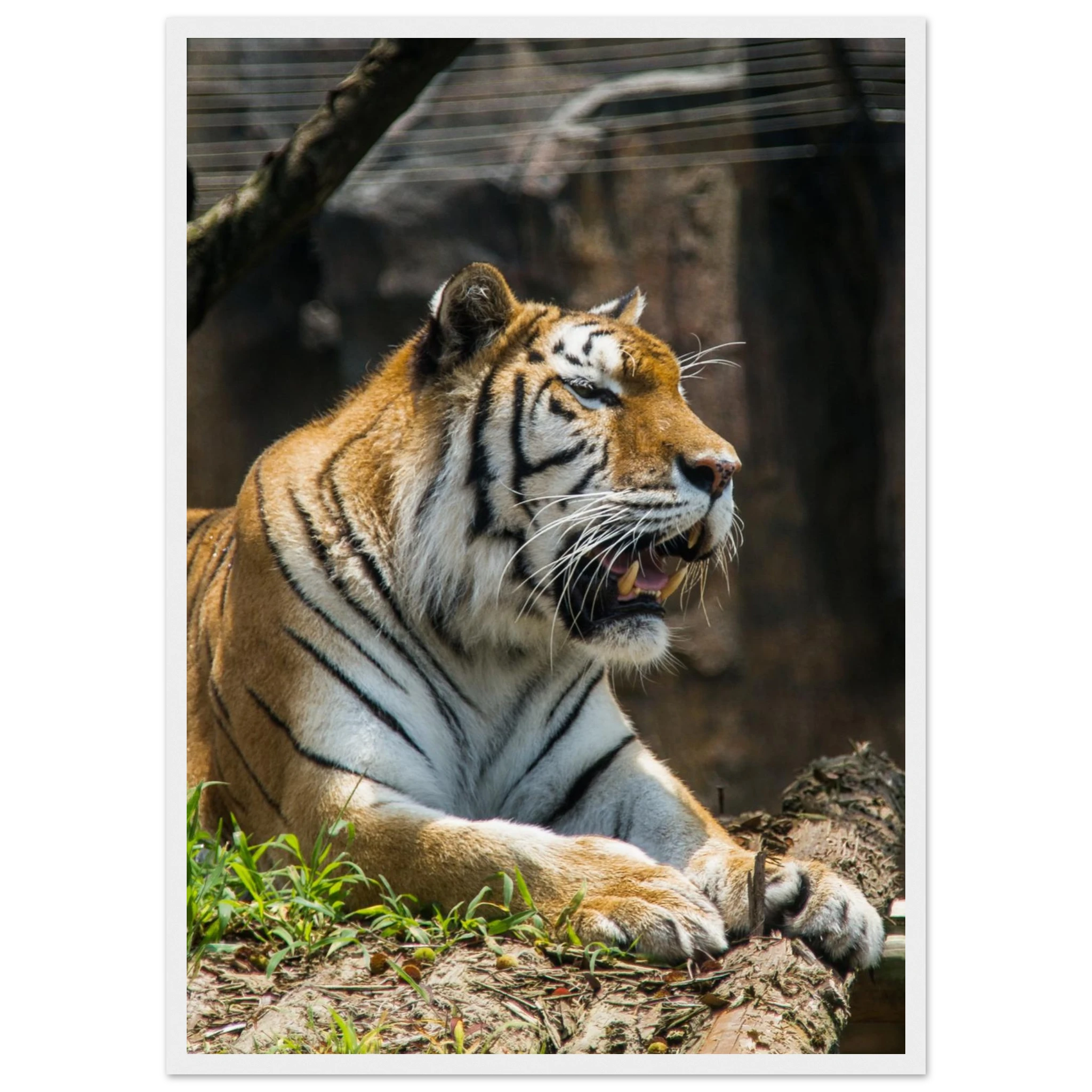 118d60a4-8ef1-4c98-8573-667a76082fa5