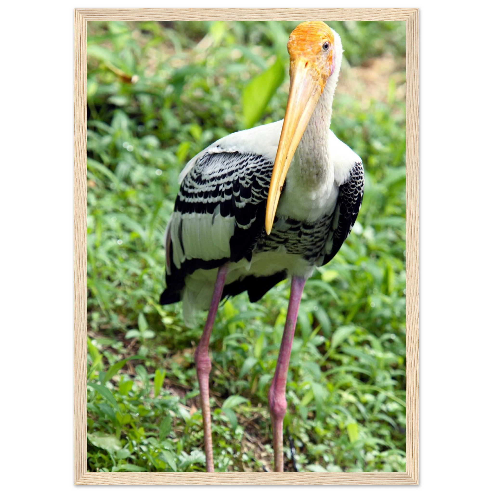 1198b696-d7d6-4bde-a6d1-f99001fc1edb