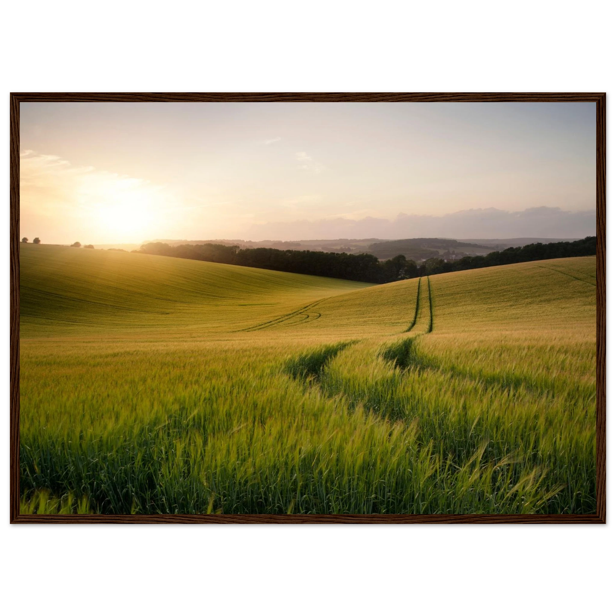 11dacddf-f82e-4fa3-8c6e-f0f34e4abe48