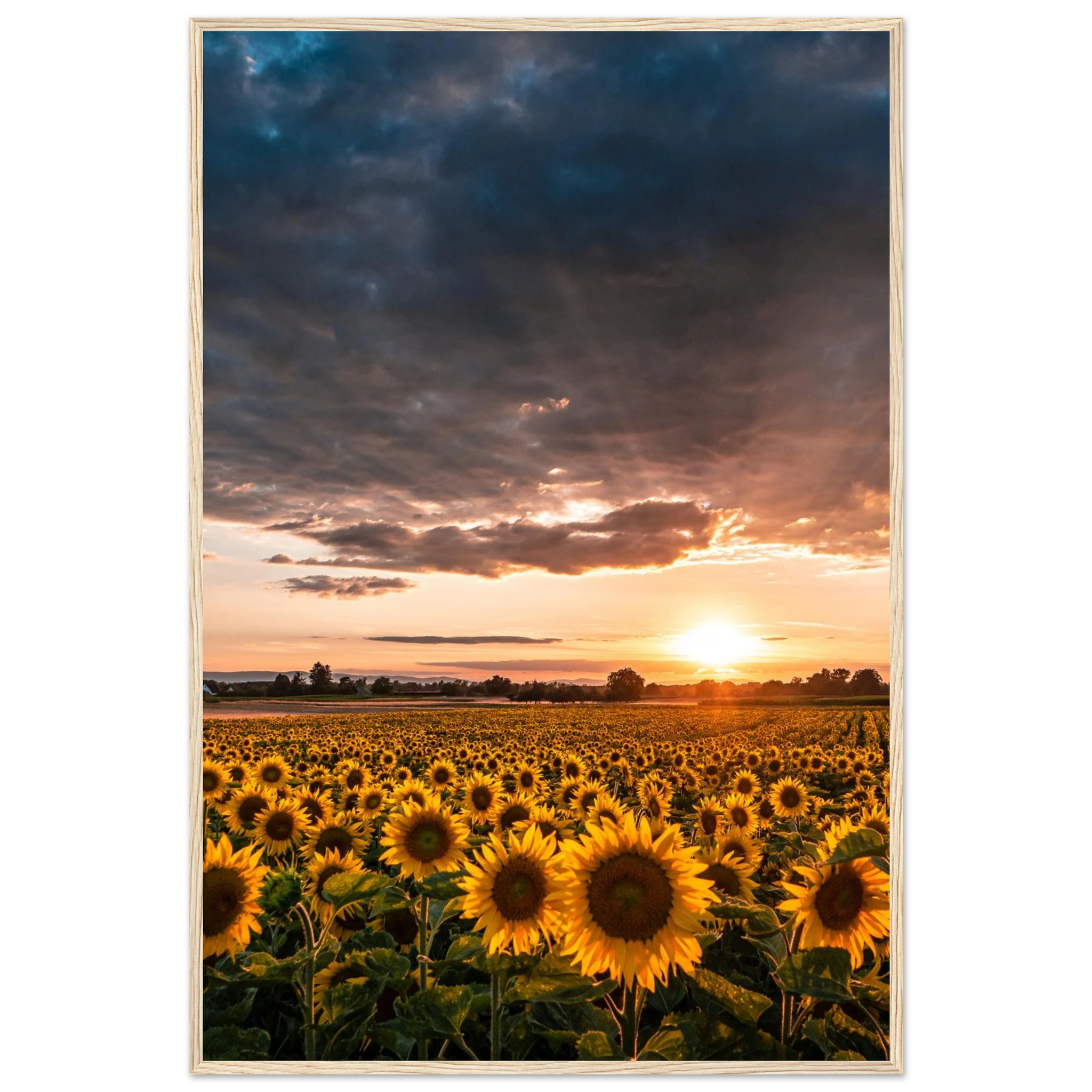 11e45471-c19e-4239-adcf-ccc53539e013