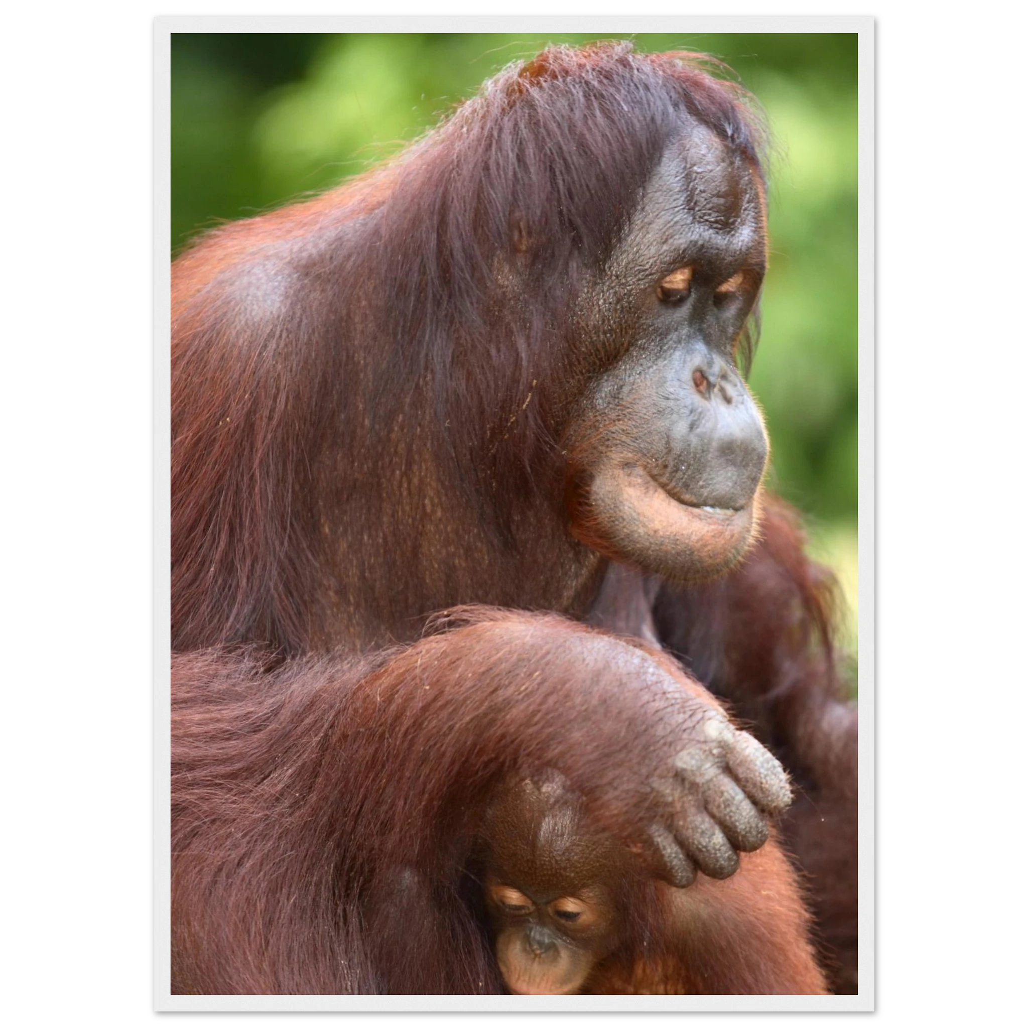 11f5c147-5a95-4b81-b9ef-3c257937ee56