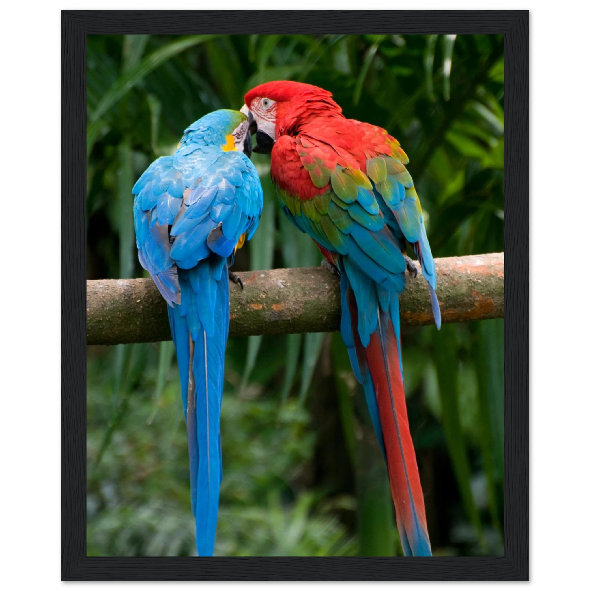 11fa36f4-06e8-4303-beed-a3600d0f884a