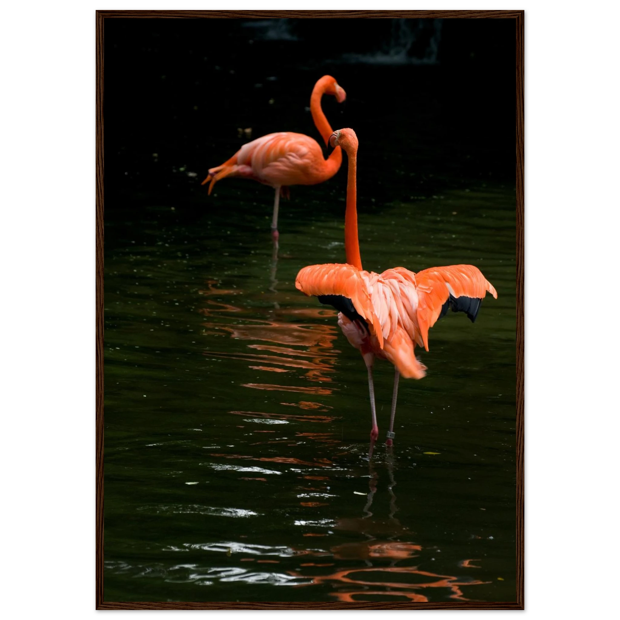 12108b01-20a1-4f8b-8a2f-cb4e6f760755