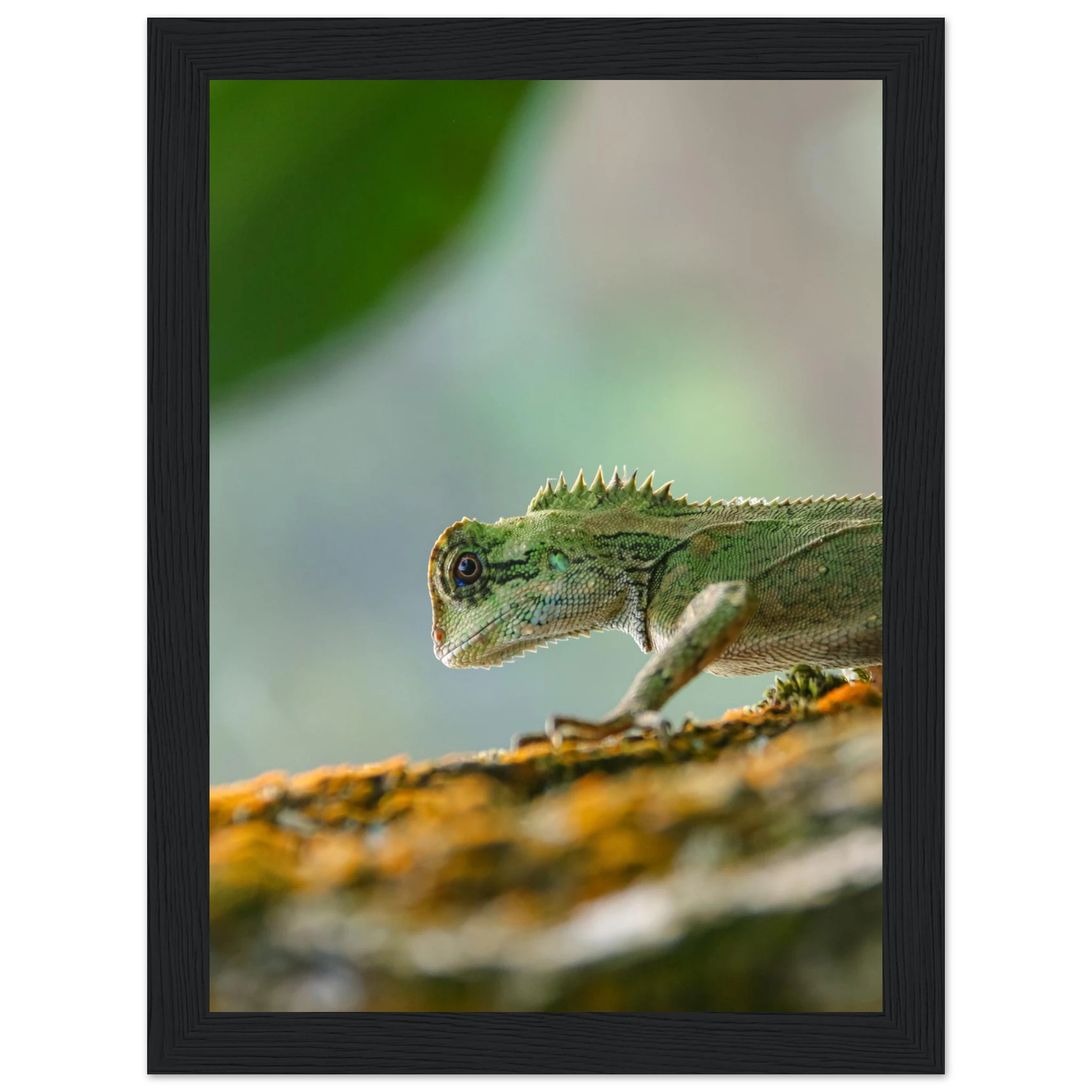 1211df48-0cc3-46c3-bb32-5ae9e3e581ad