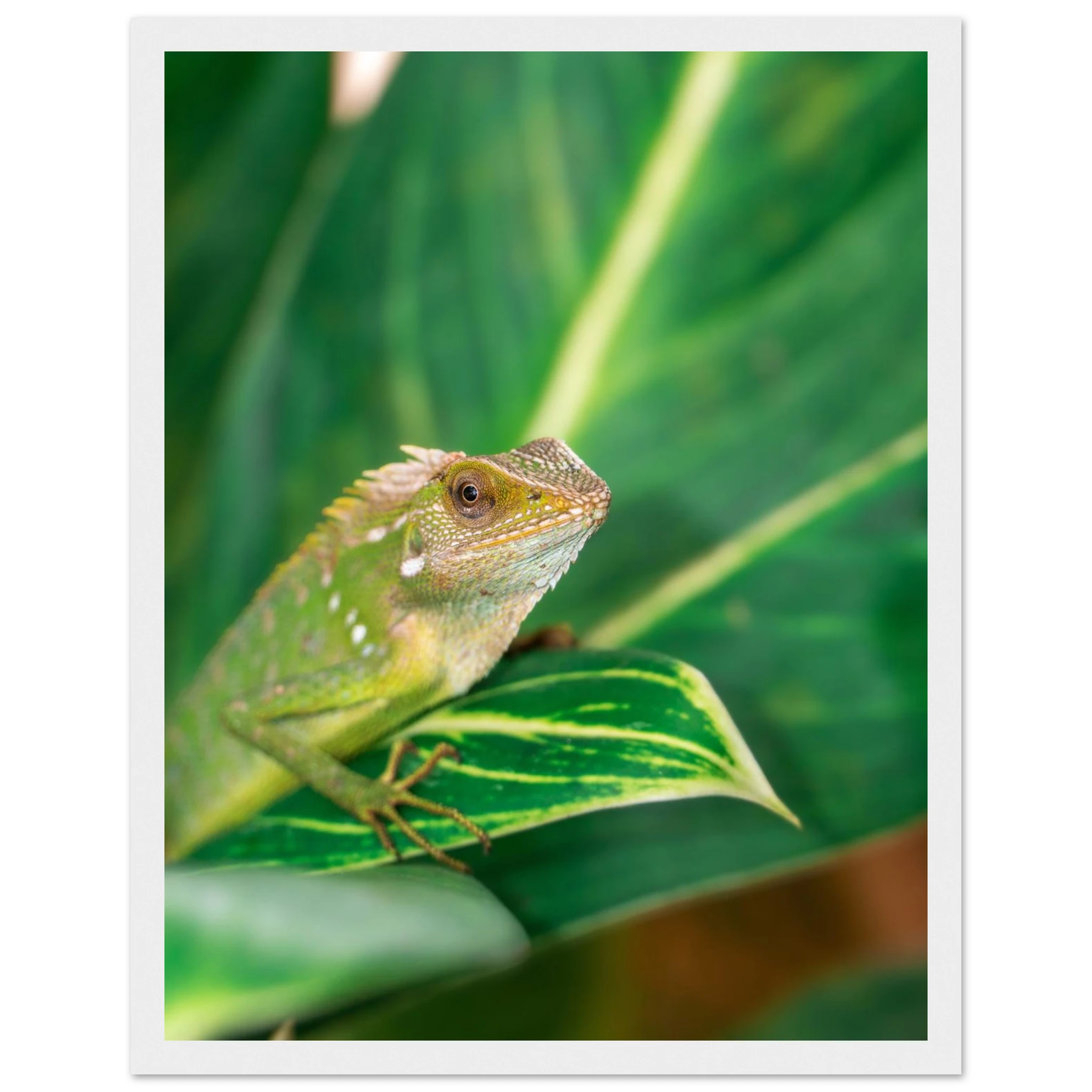 123b2f27-af8f-4070-803b-18b7802a9848