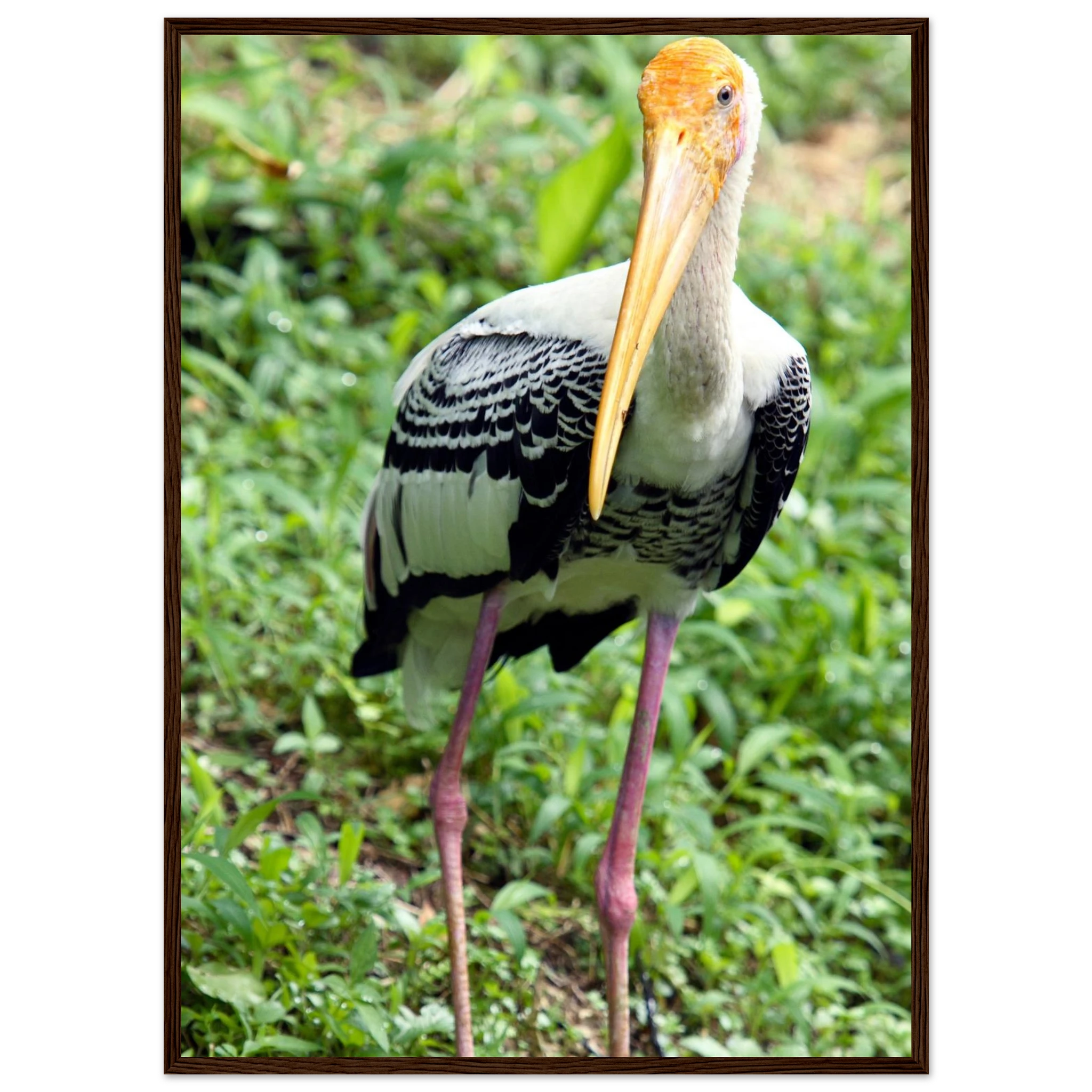 125e24f6-f52d-4ce1-8f82-7dd84bffca7f